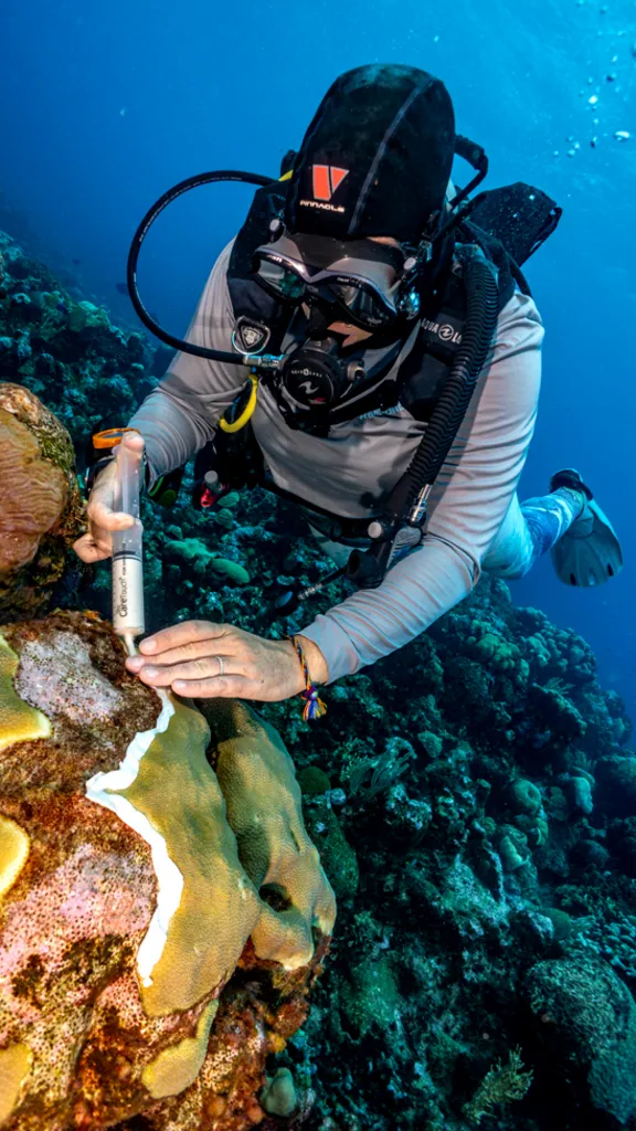 Turks and Caicos Reef Fund