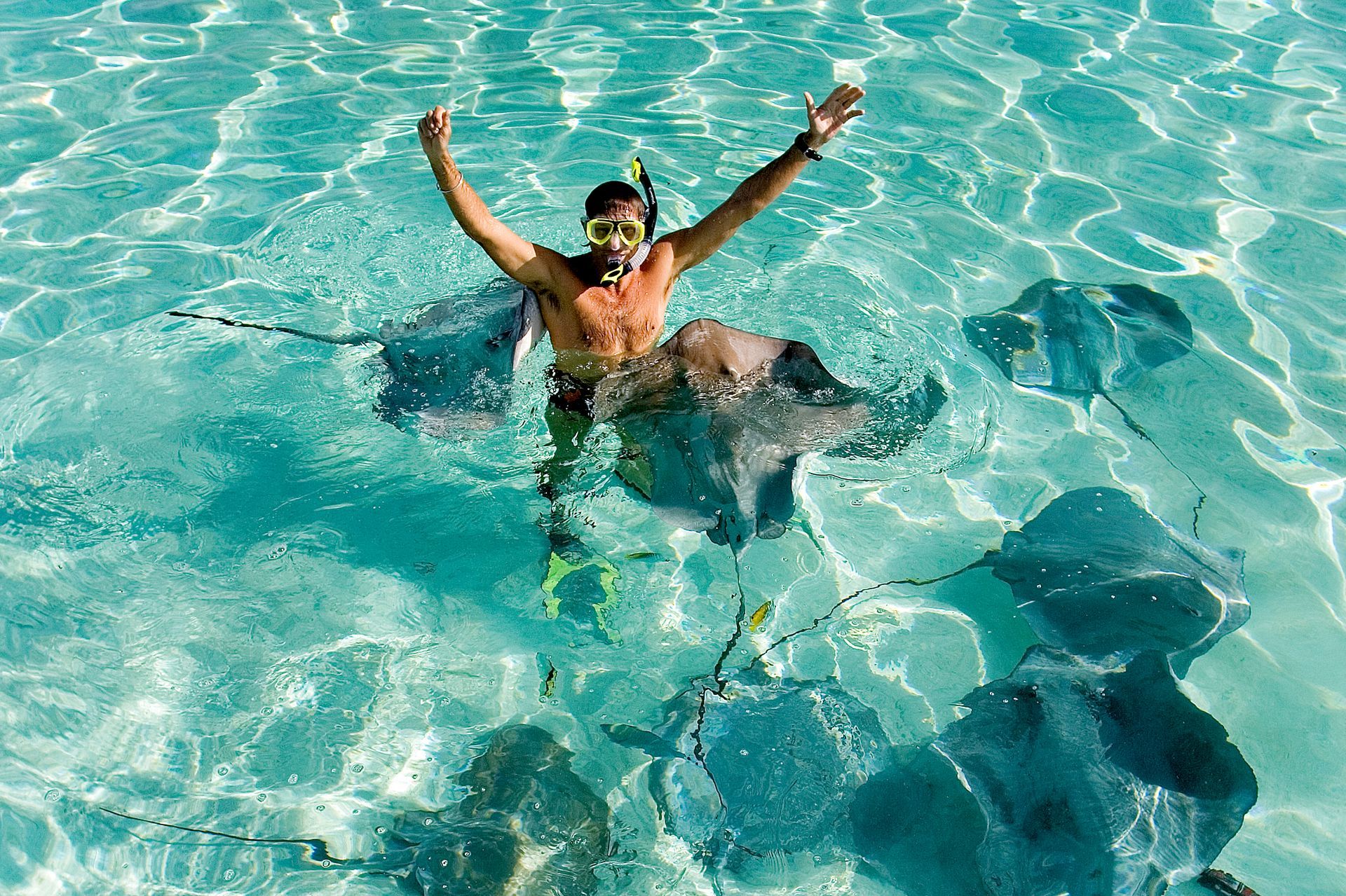 A man is swimming with stingrays in the ocean