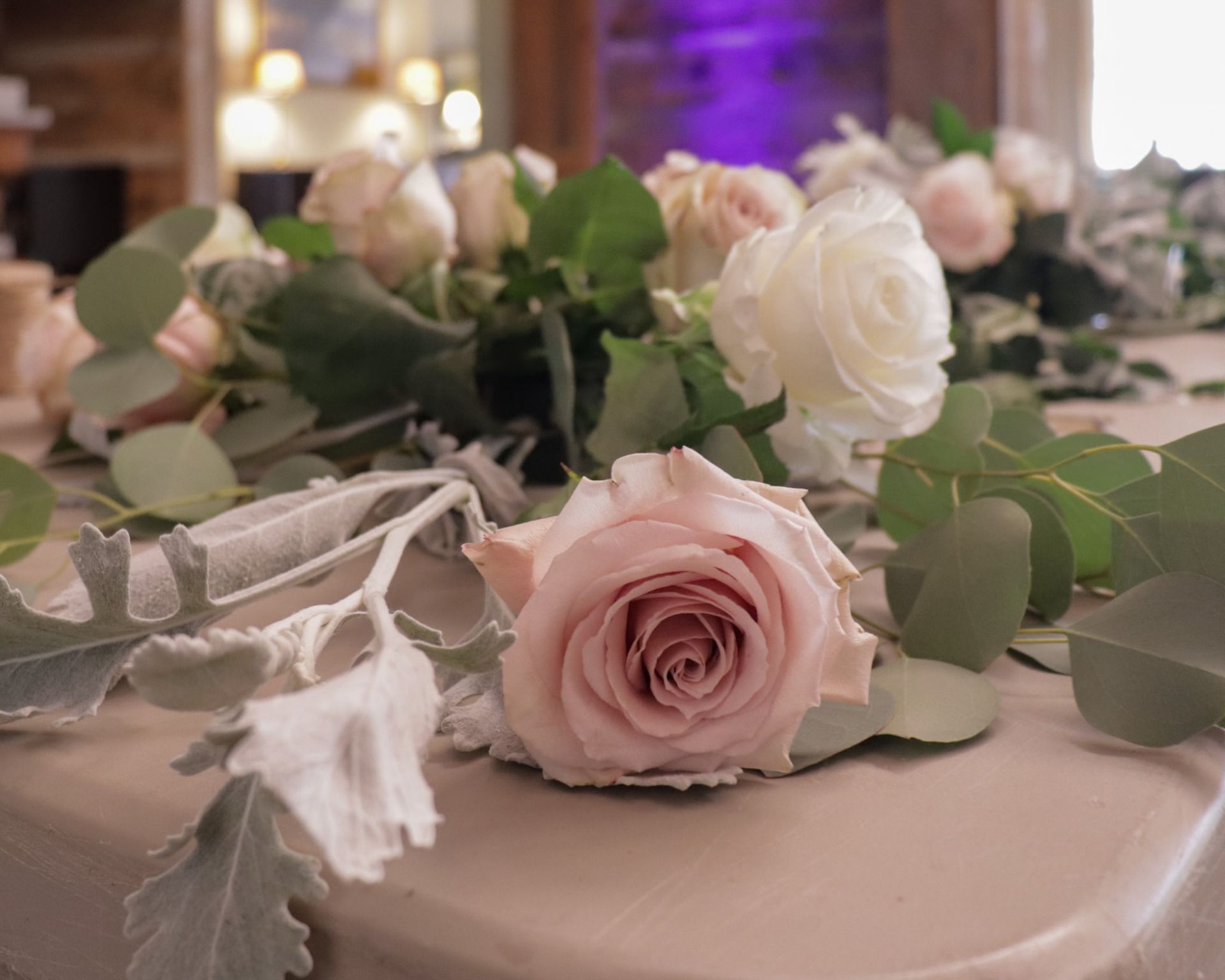 A close up of a pink rose on a table.