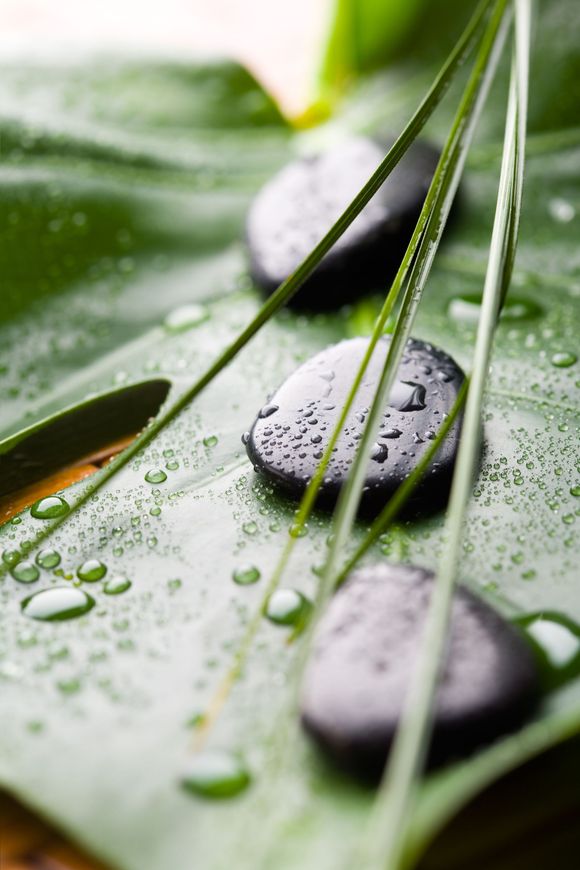 A close up of a leaf with water drops and rocks on it.