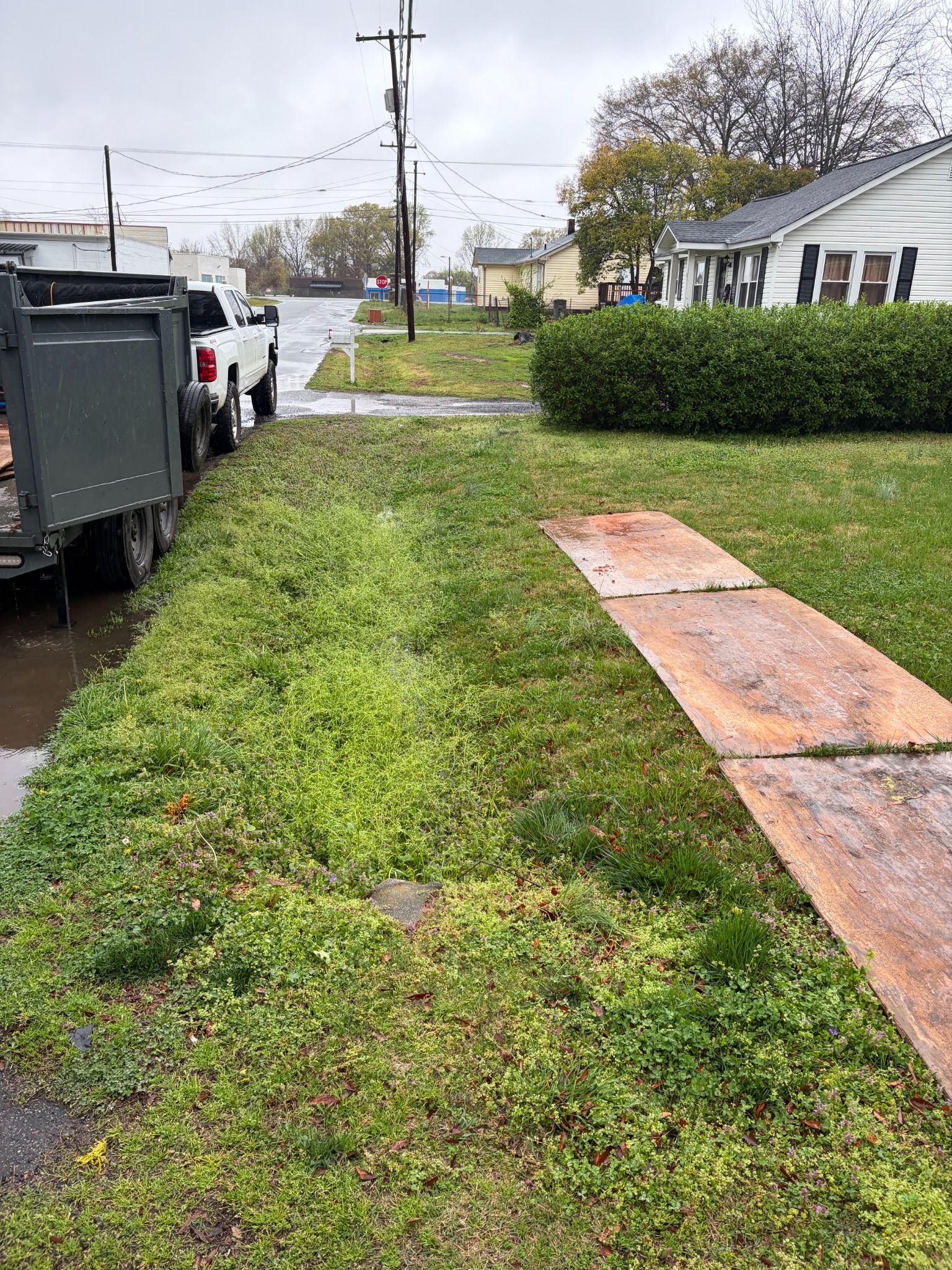 Fresh sod installation on residential lawn