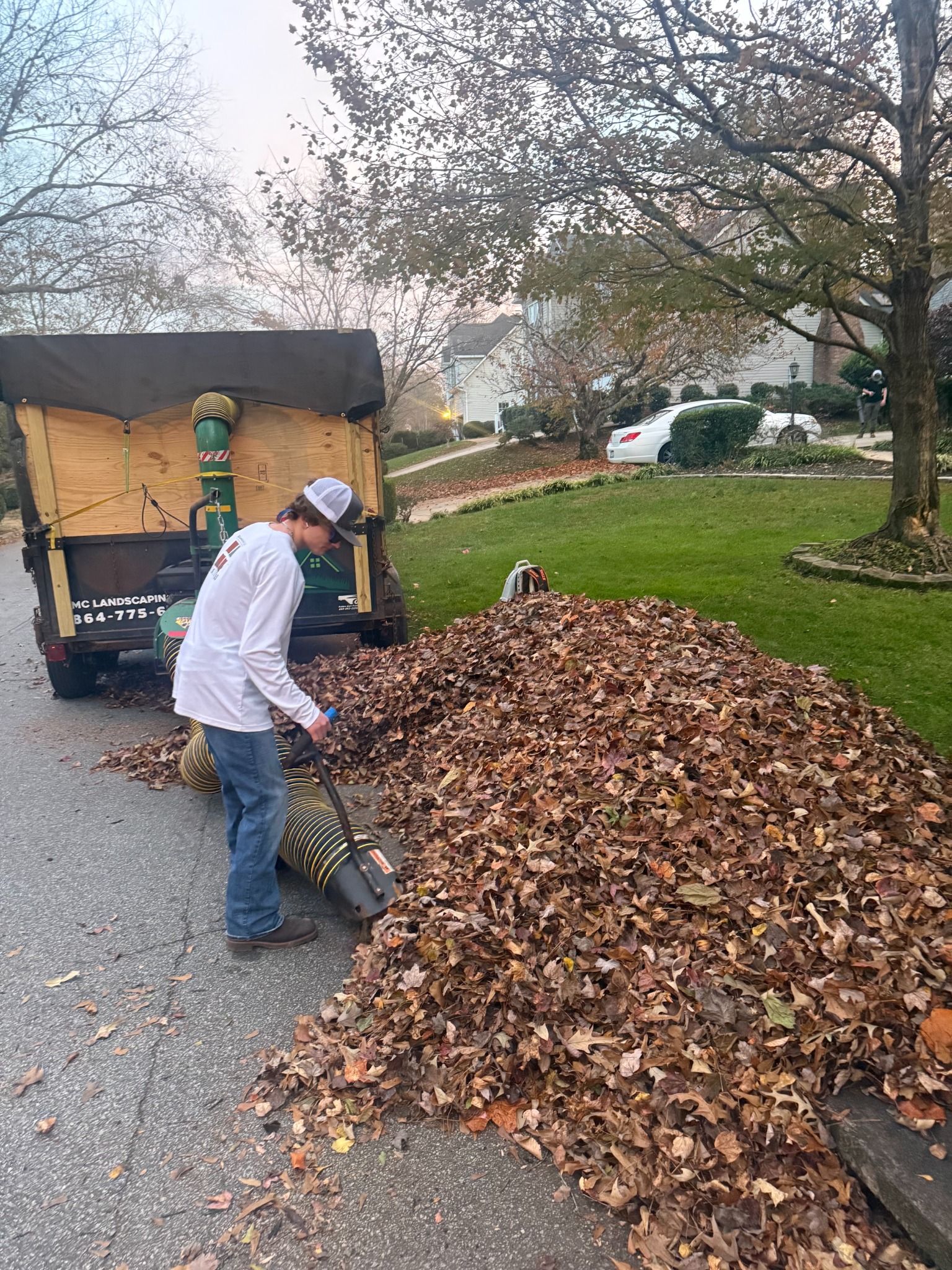 Fresh sod installation on residential lawn