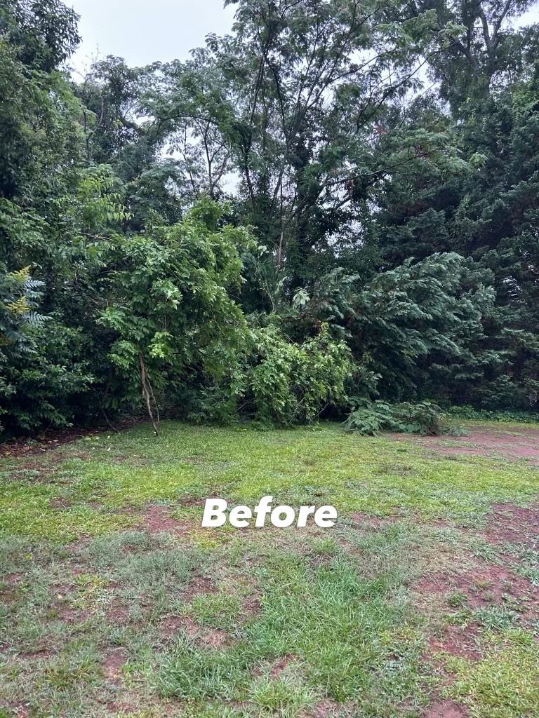 Fresh sod installation on residential lawn