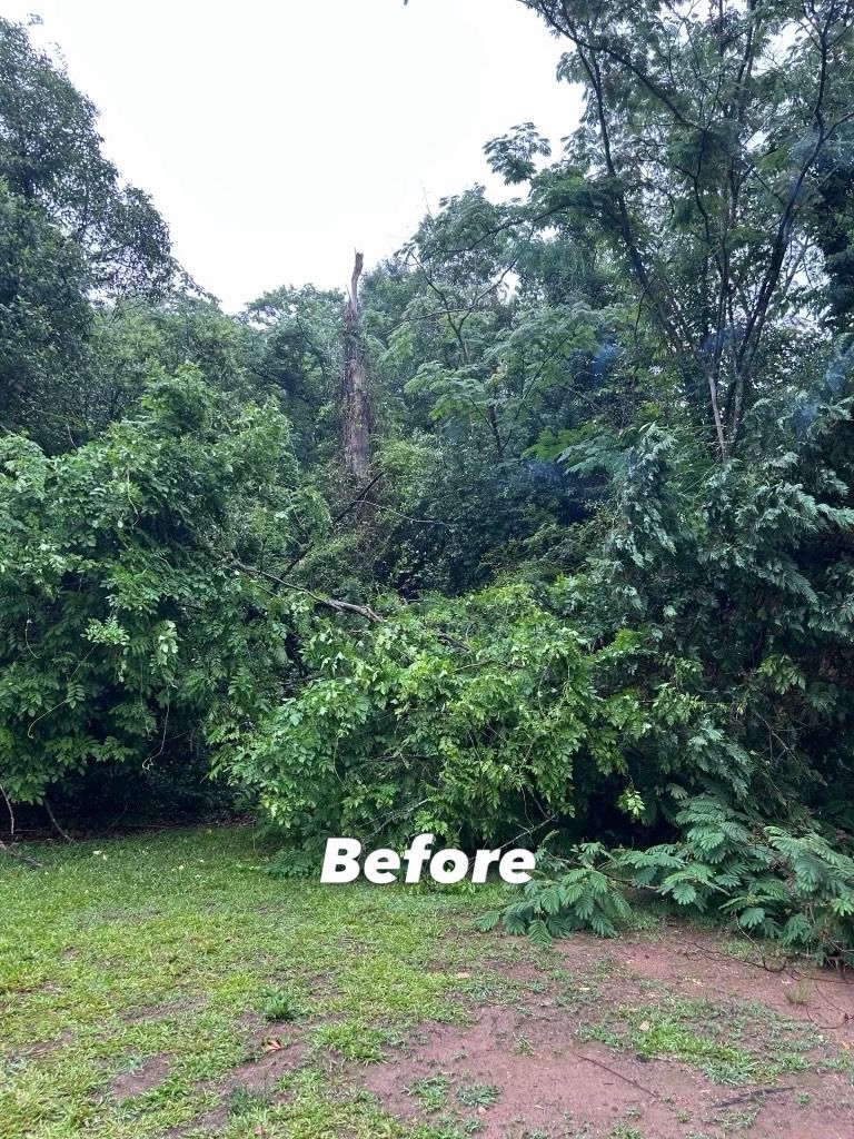 Fresh sod installation on residential lawn