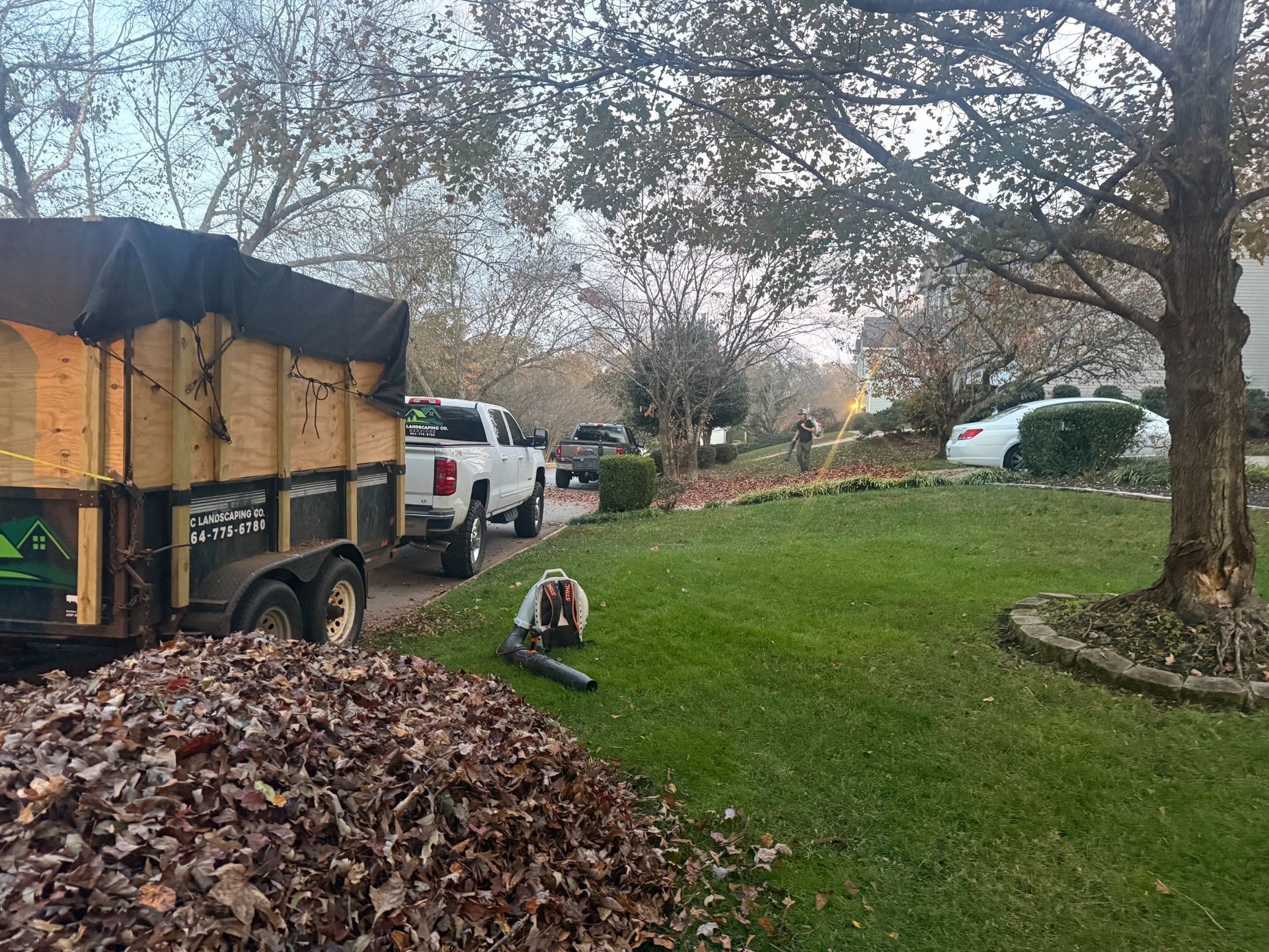 Beautifully landscaped residential front yard in Greenville SC