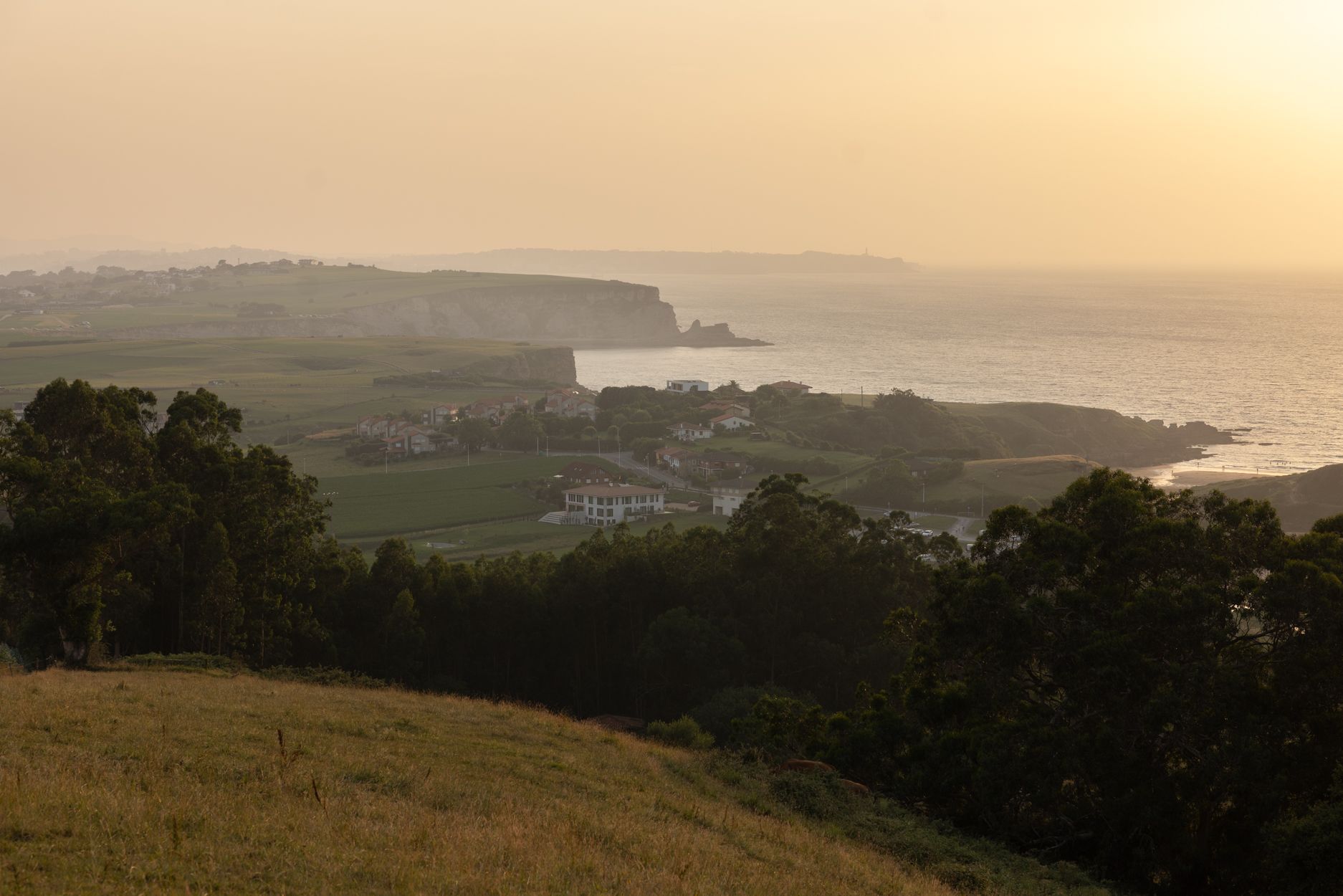 Puesta de sol dorada sobre un paisaje costero con acantilados, océano y árboles oscuros en primer plano.