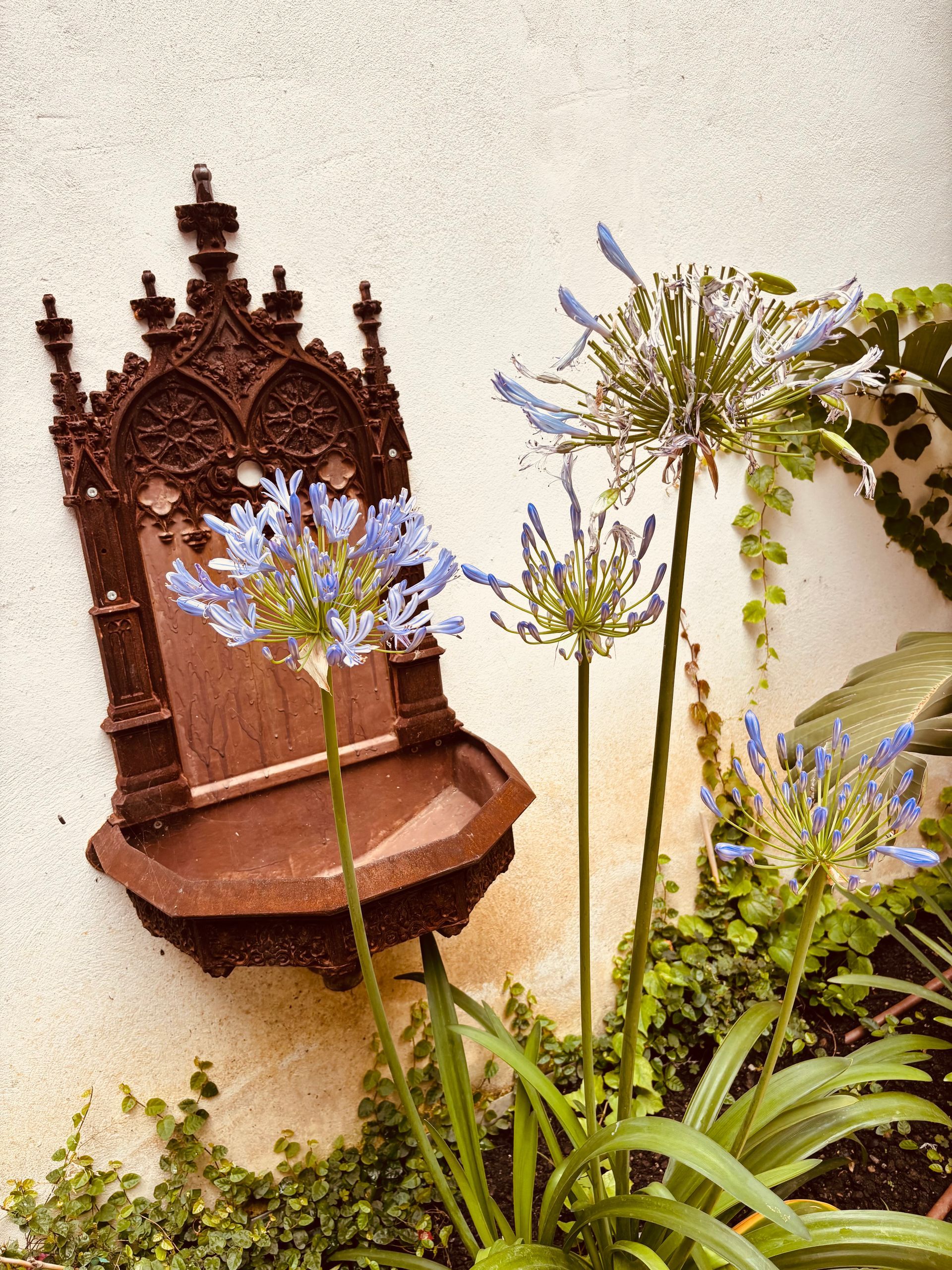 Estantería de pared marrón ornamentada con flores moradas y follaje verde sobre una pared color crema.