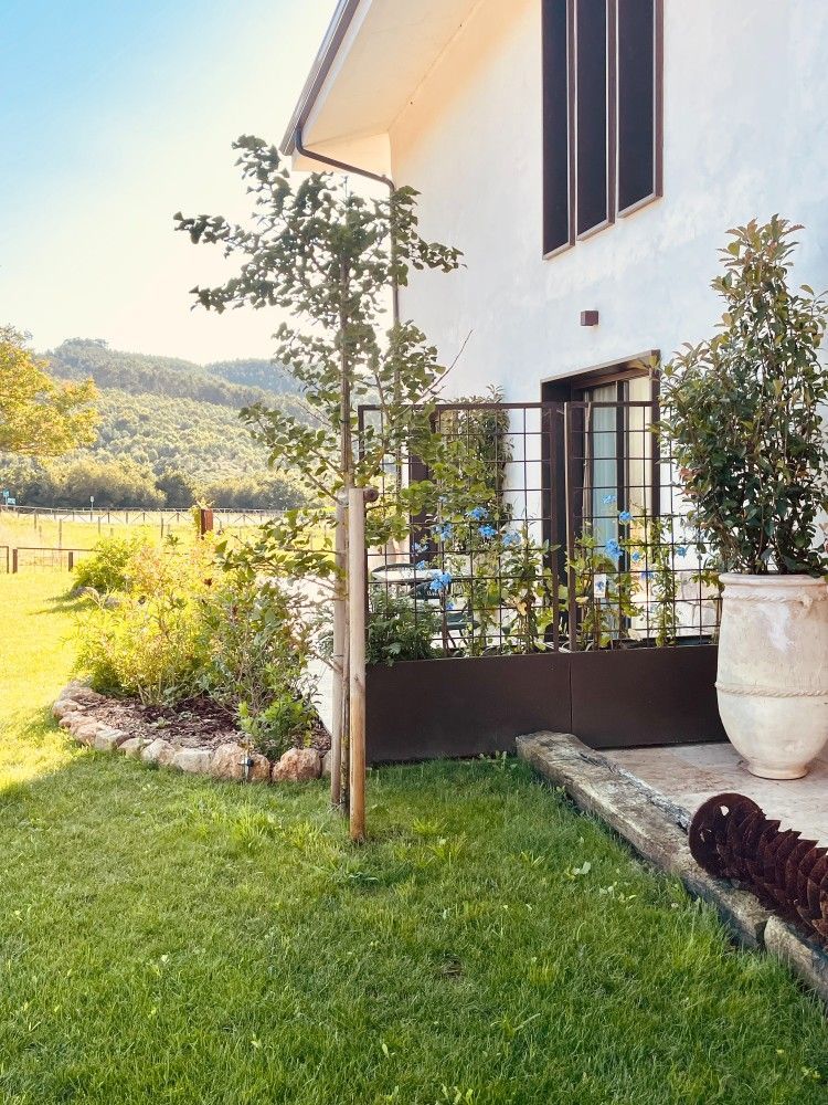 Jardín soleado junto a una casa blanca con césped verde, arbustos y plantas en macetas en un patio.