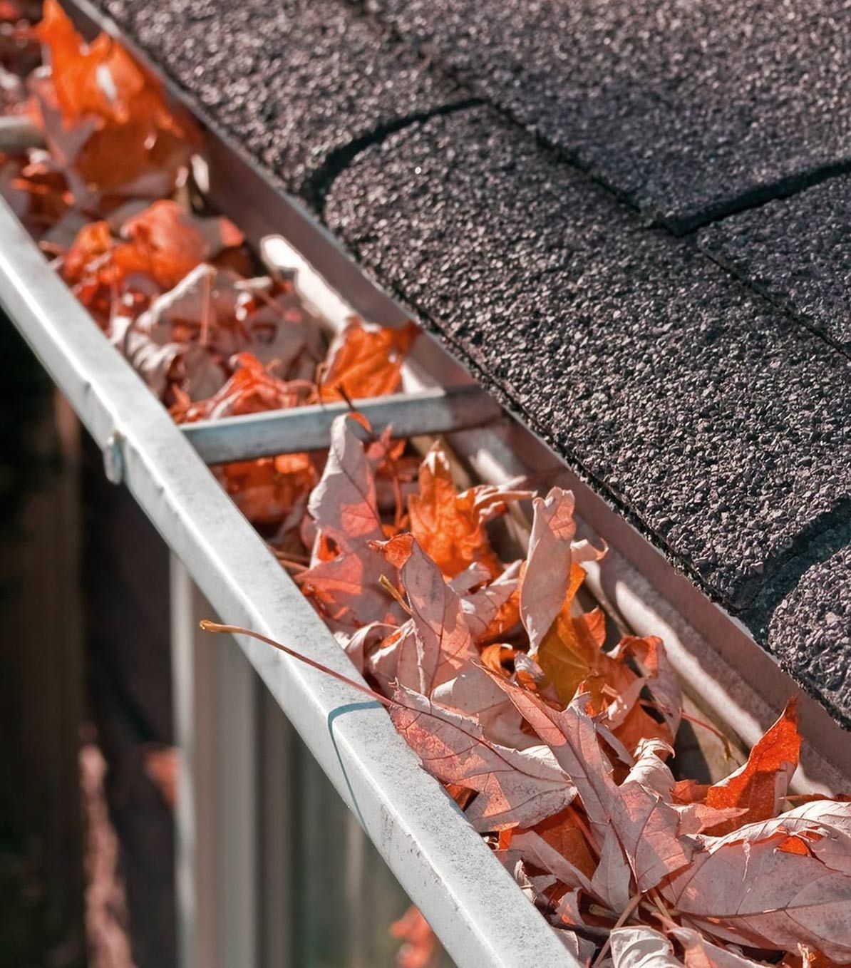 gutter cleaning