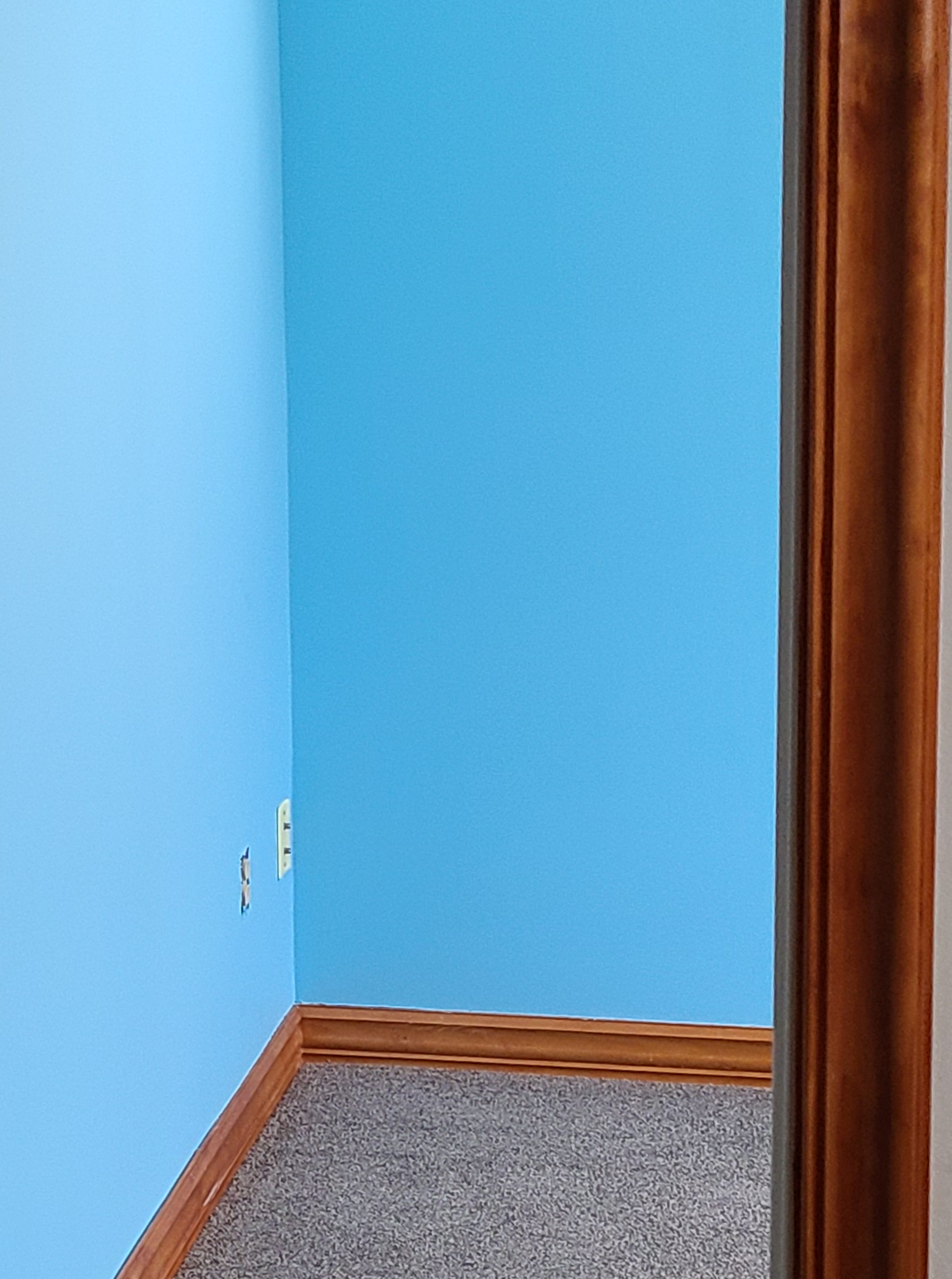 Empty corner of a room with blue walls, gray carpet, and wooden baseboards and door trim