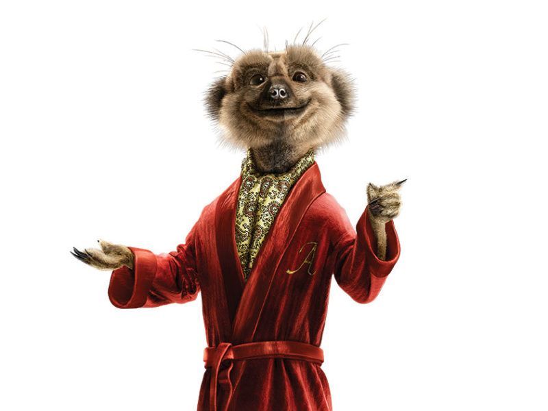 A meerkat wearing a red velvet robe and a patterned scarf, smiling while gesturing with its hands against a white background.