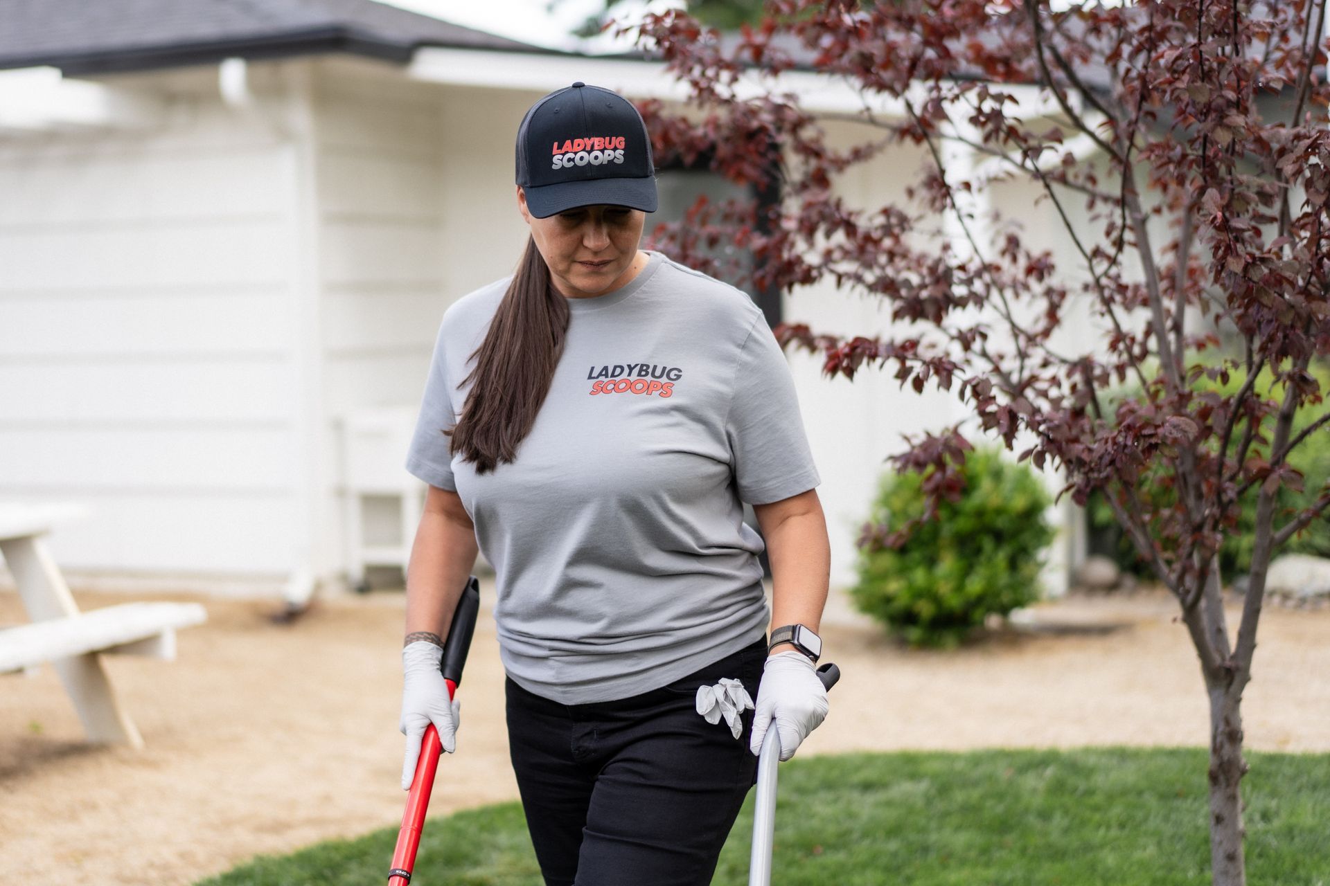 Gloved hand placing a white plastic scoop on grass outdoors
