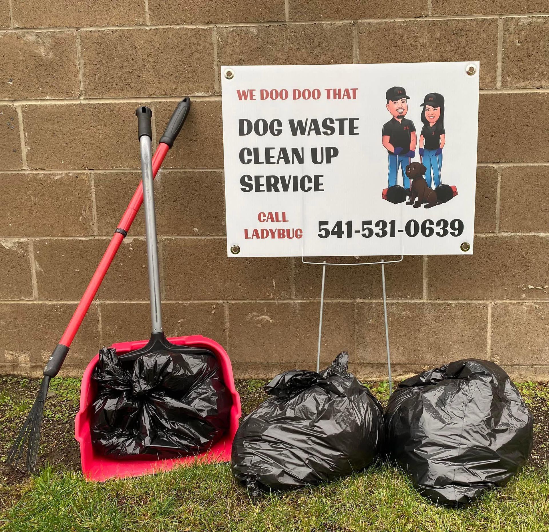 Person picking up litter in a sunny park with a dog nearby