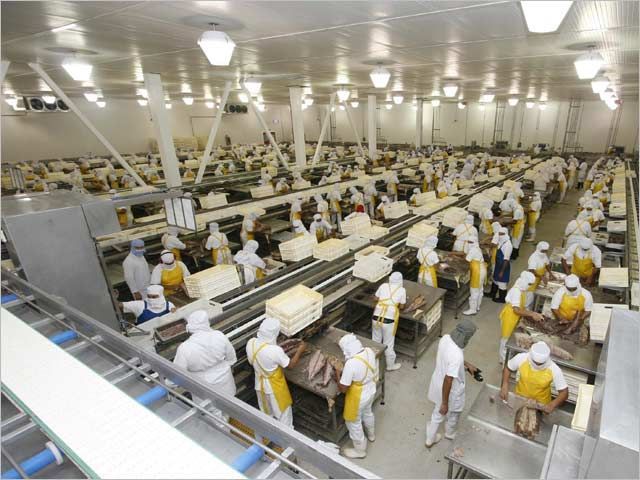 Um grupo de pessoas está trabalhando em uma fábrica