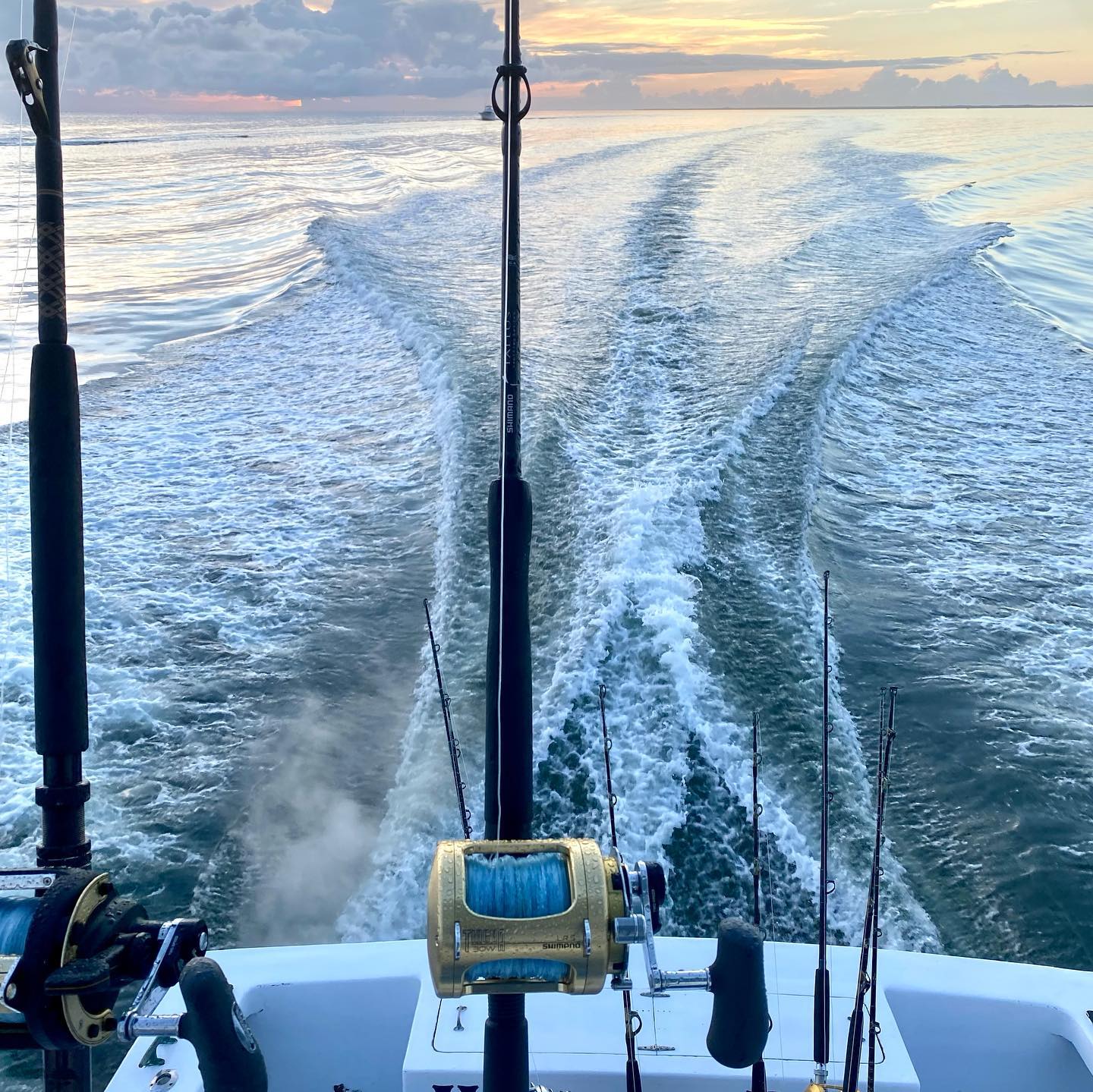 Premier Hatteras Fishing Charters Book Your Adventure