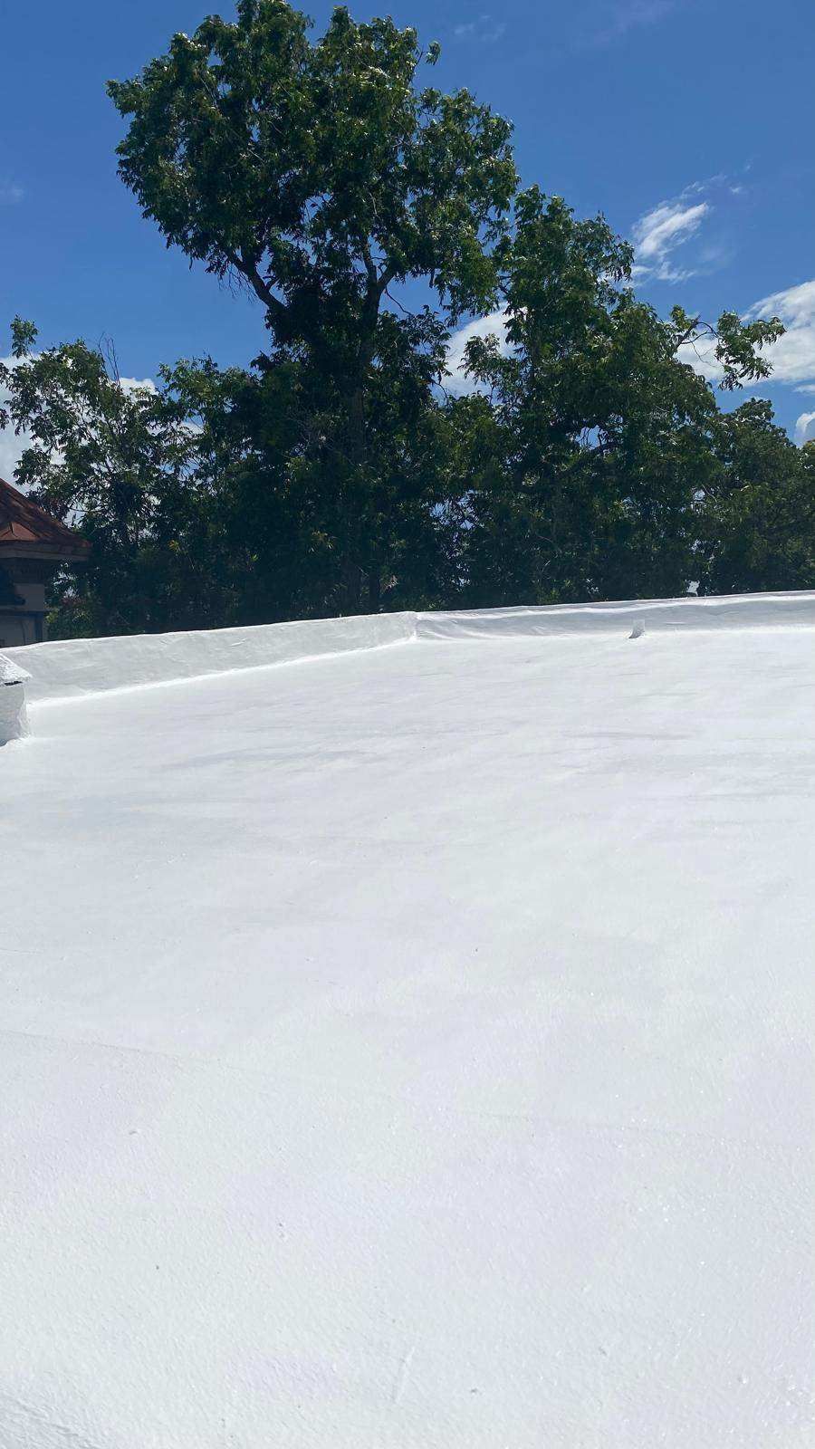 White flat roof with large tree against a blue sky.