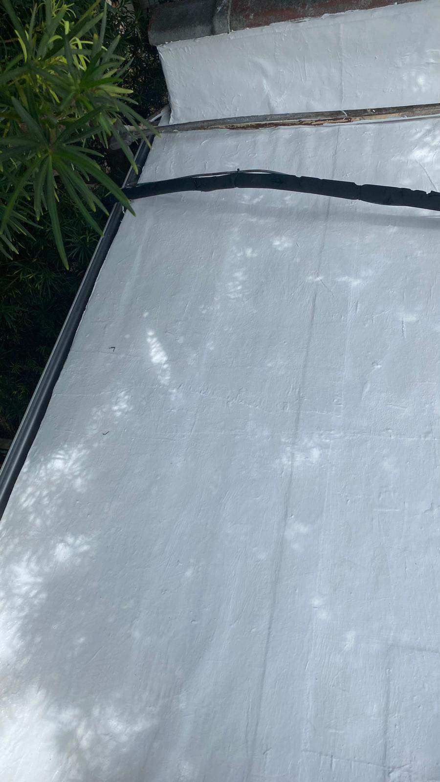 White flat roof with black sealant along the edge and a bit of greenery.
