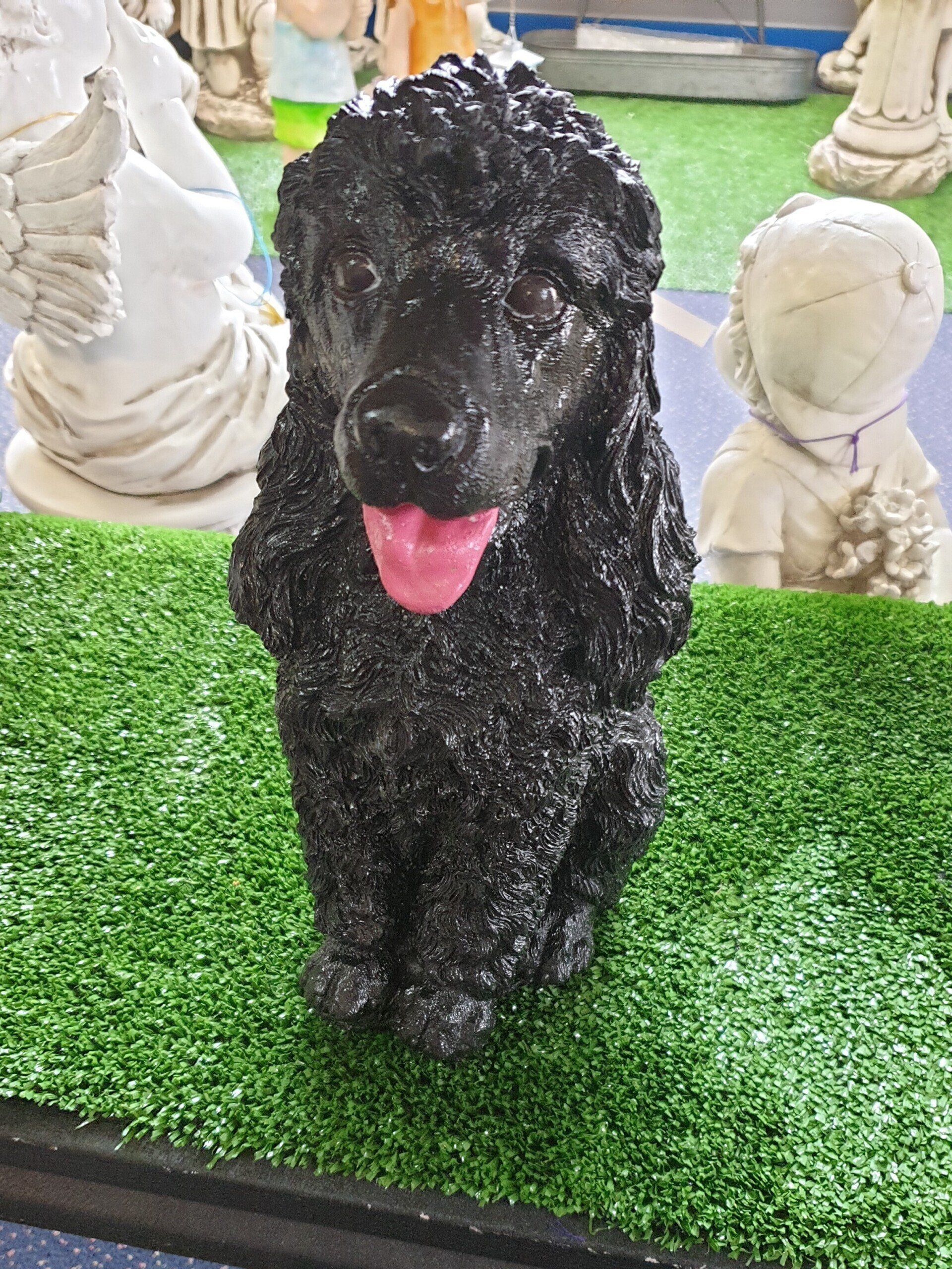 Poodles