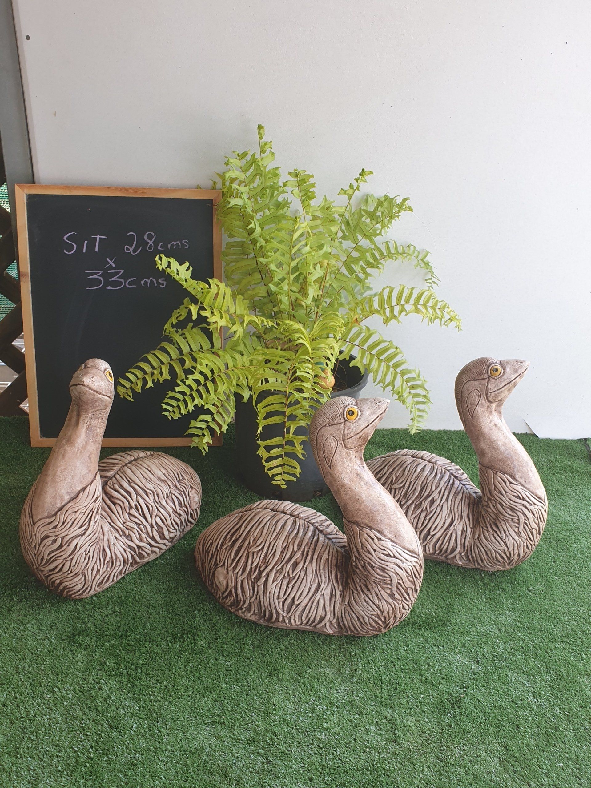 Emu Chicks