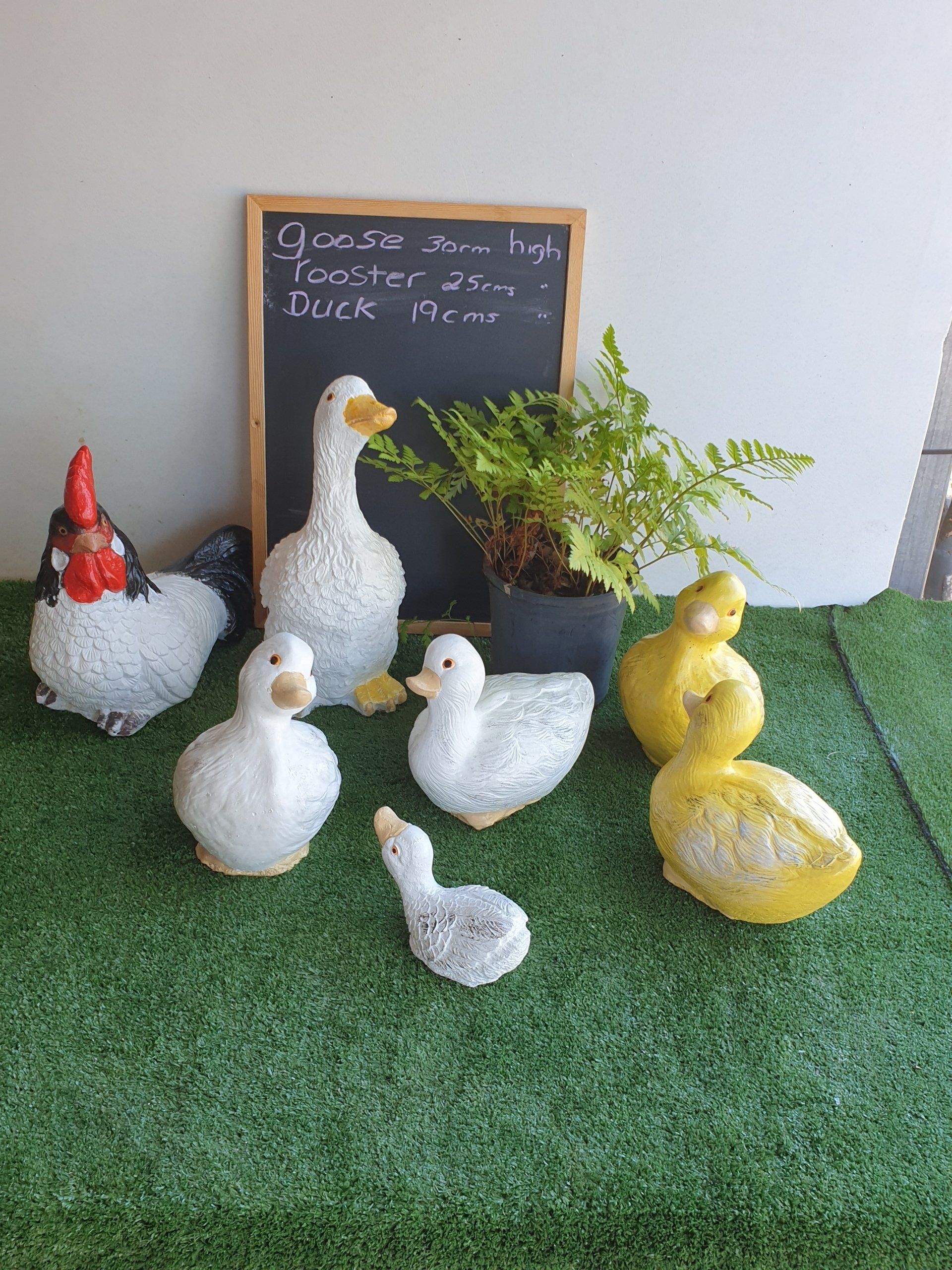 Concrete Ducks