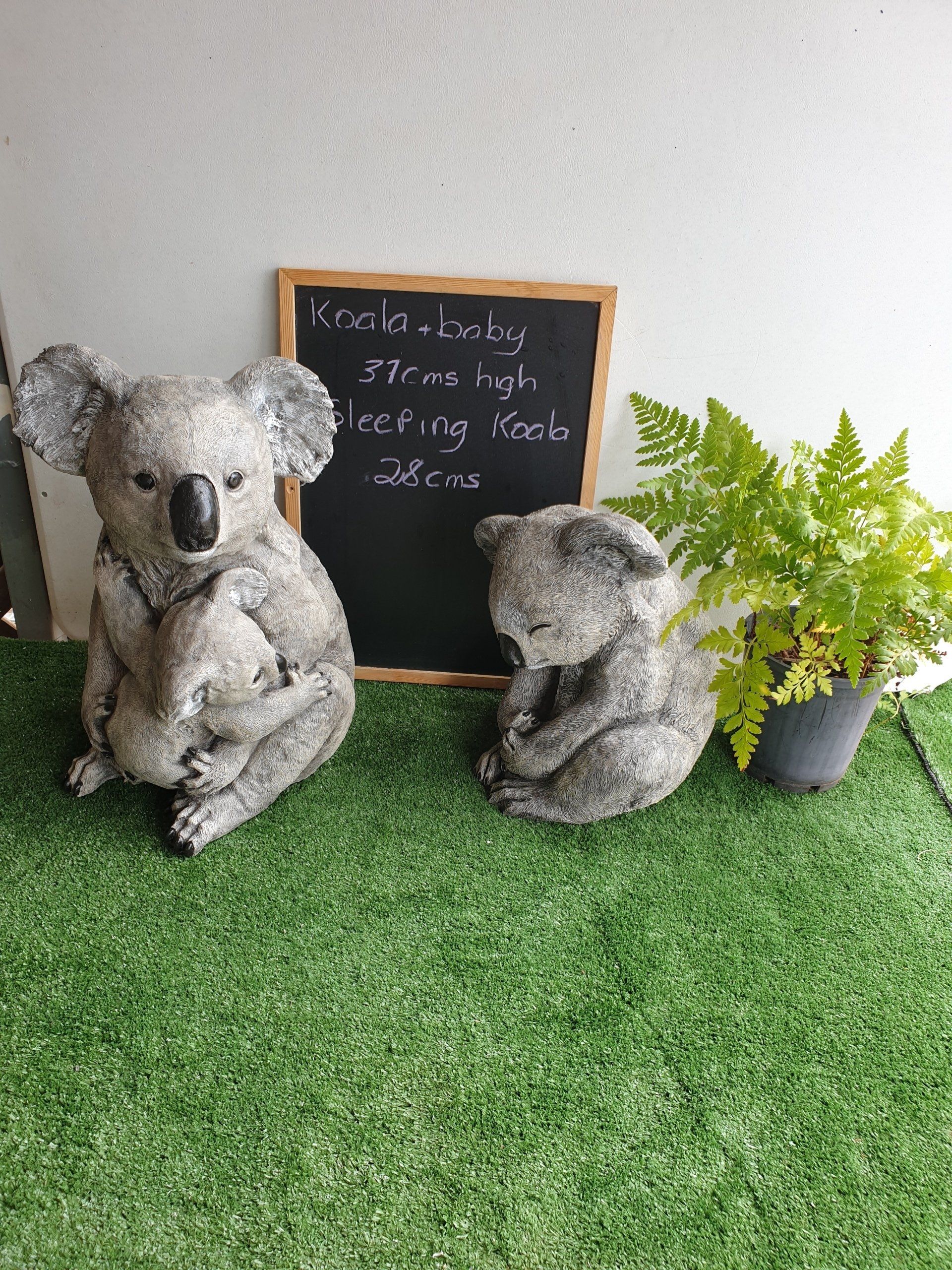 Koala's