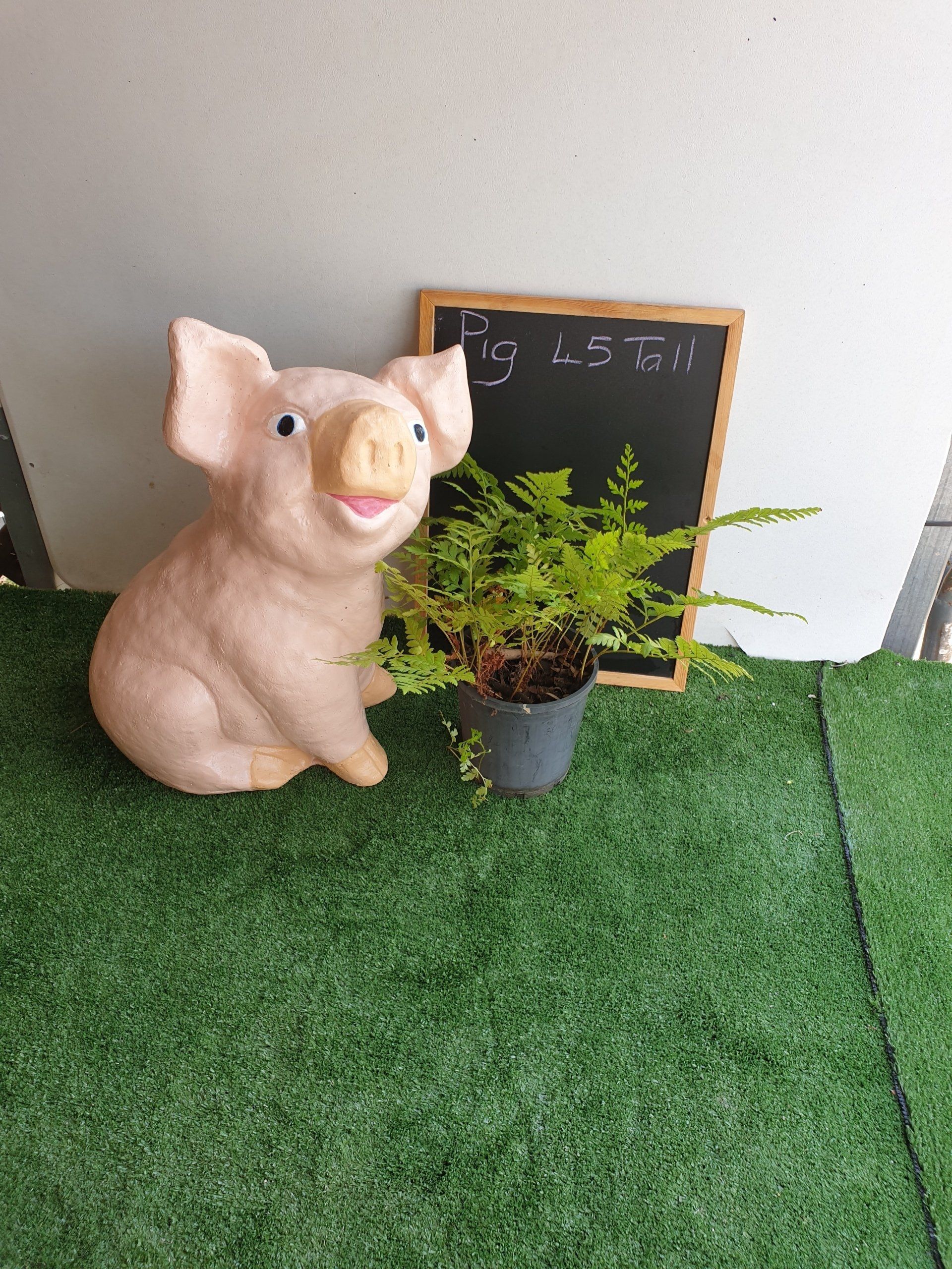 Big Pig