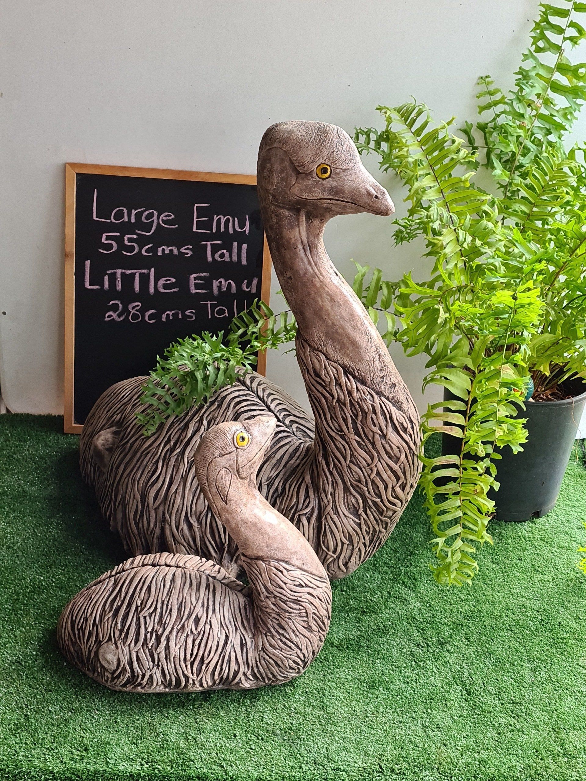 Large Sitting Emu