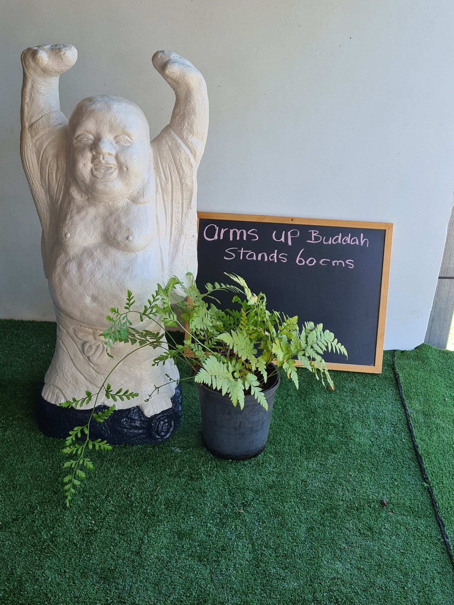 buddah