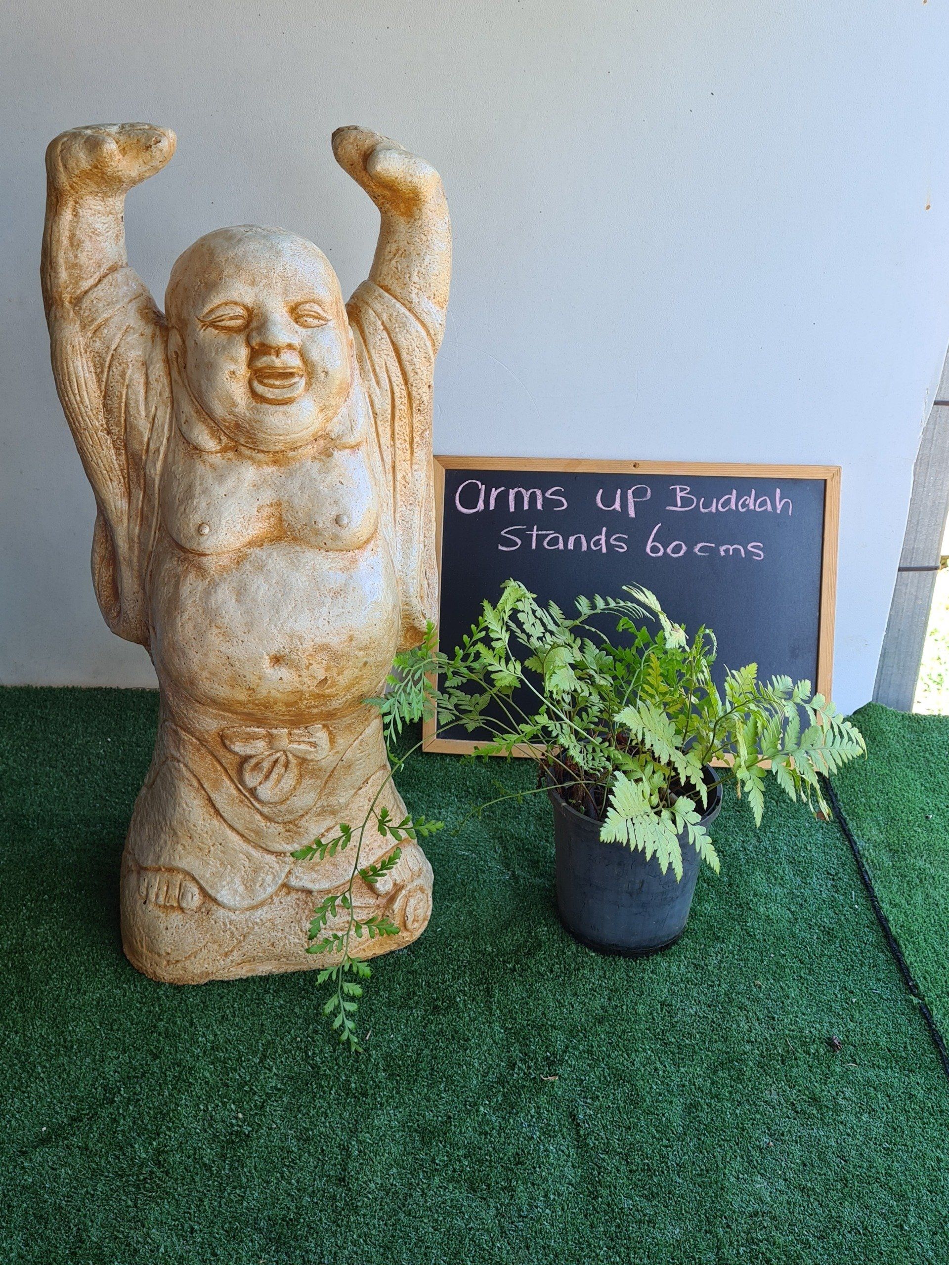 buddah
