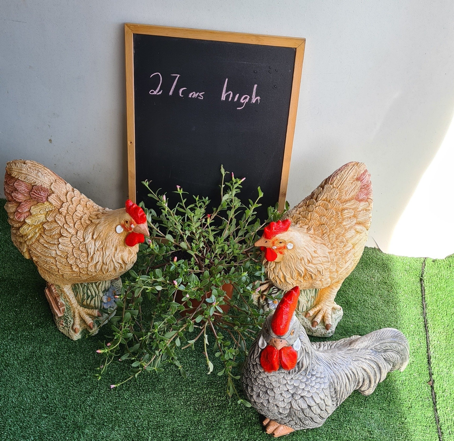 Concrete Hens