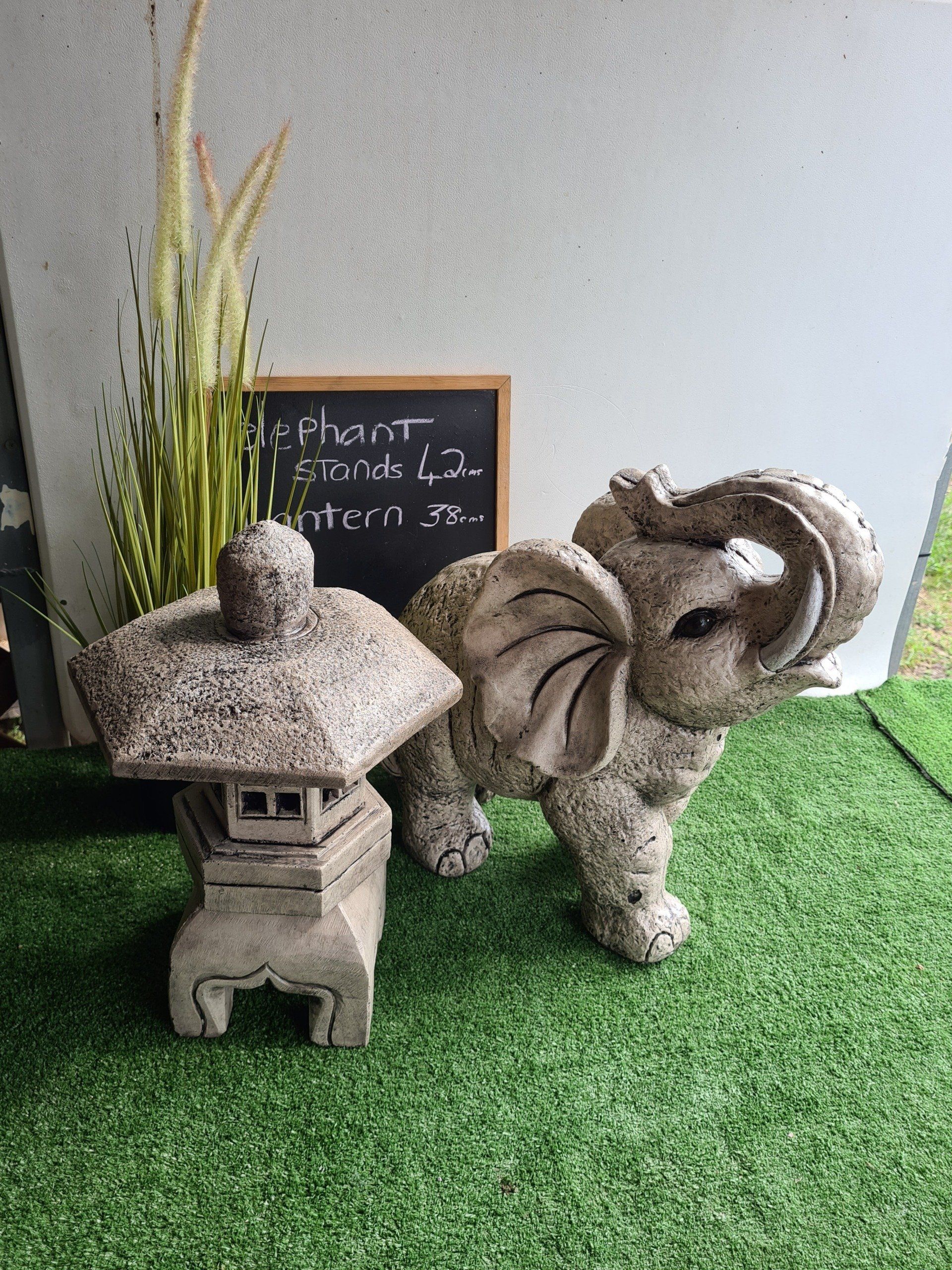 Inspiring Elephant