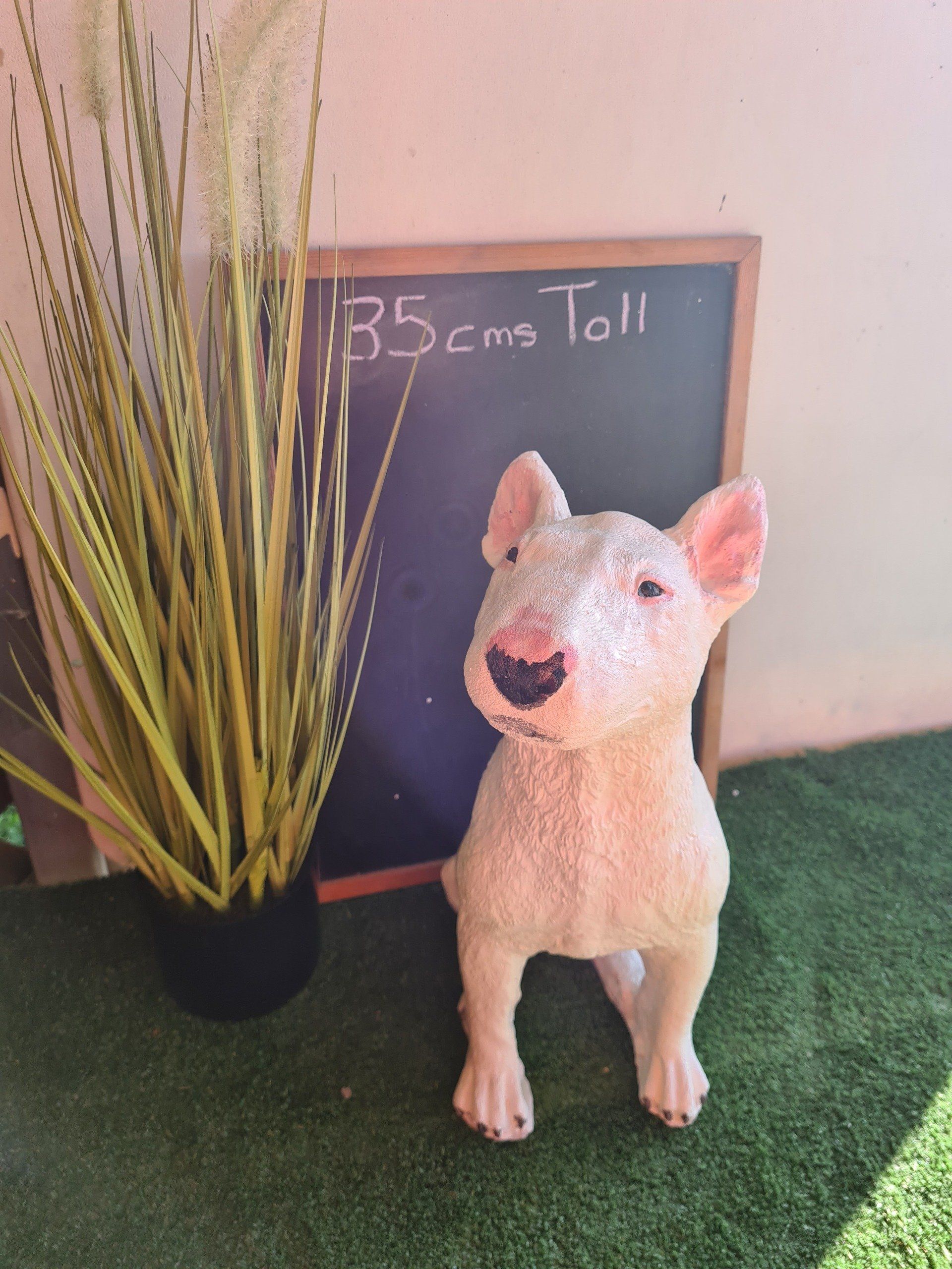 Bull Terrier