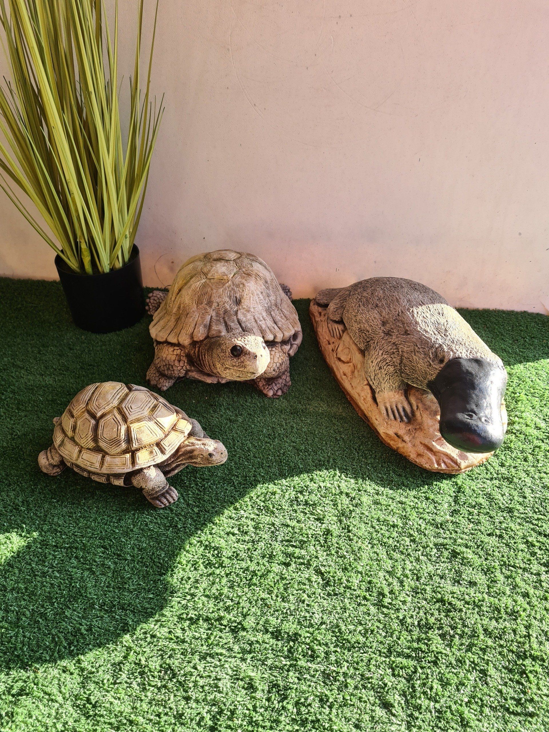 Turtle and Platypus