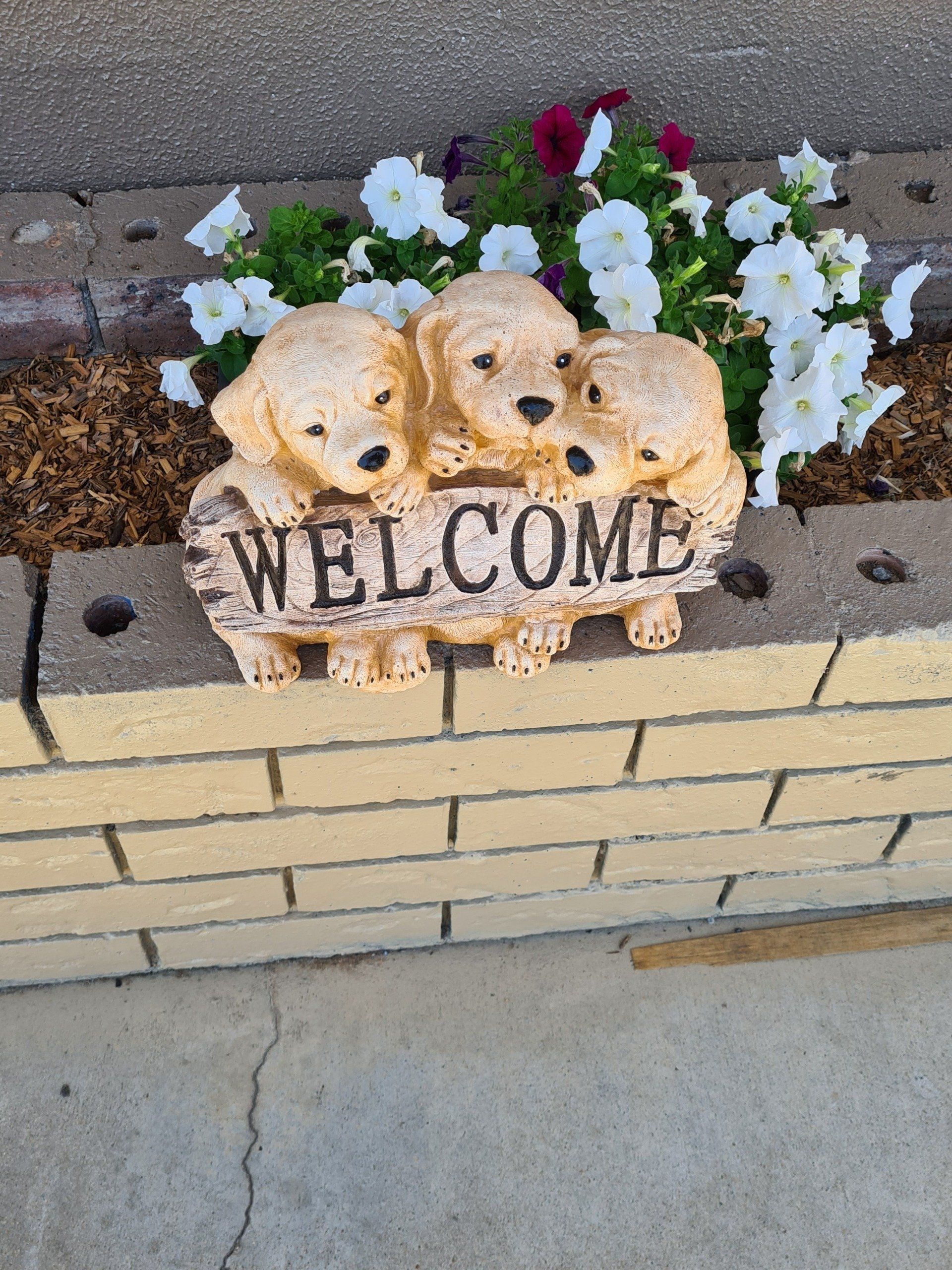 Welcome Puppies