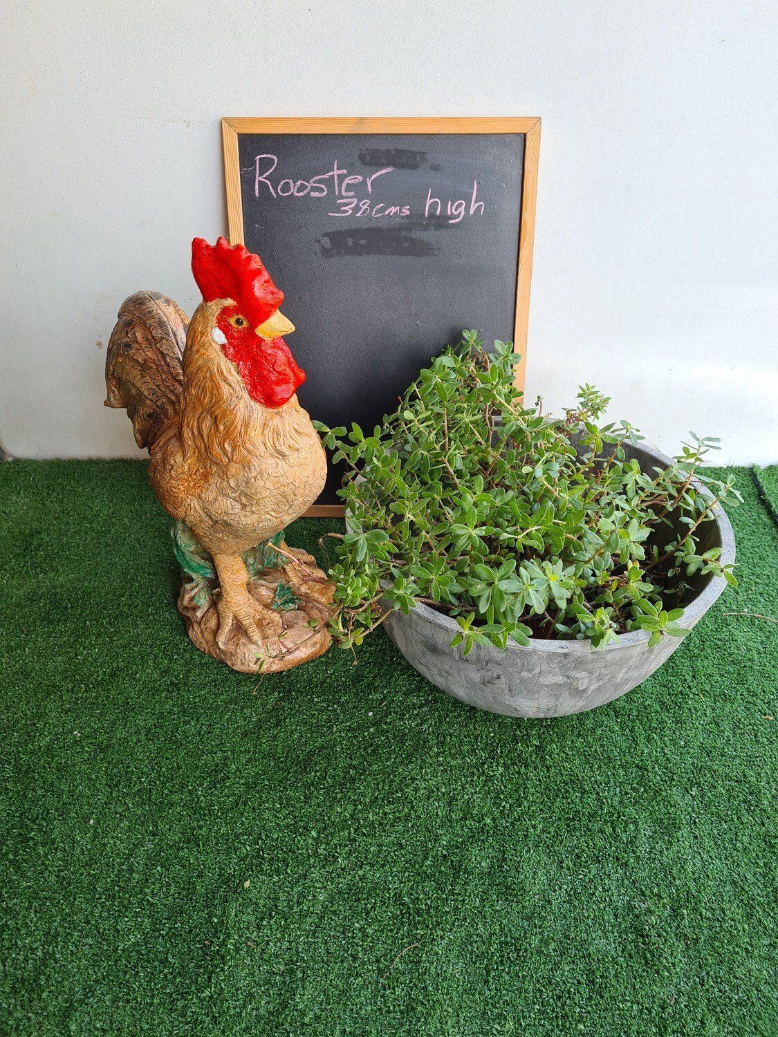 Concrete Rooster
