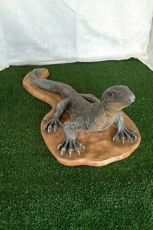 Lizard on Base