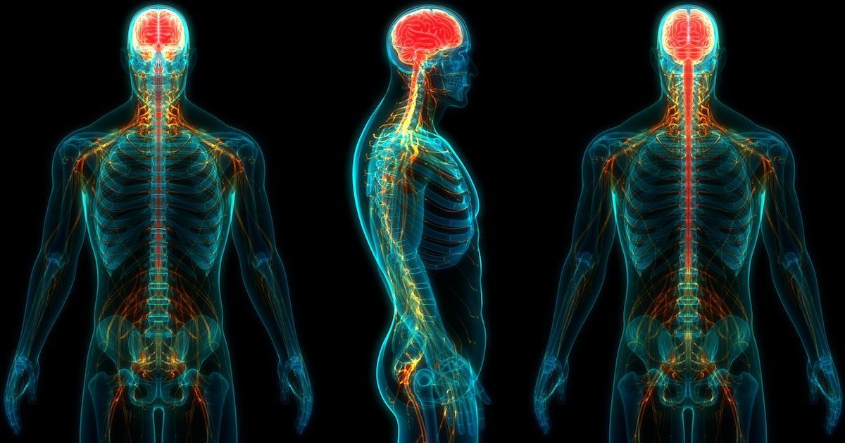 Half body MRI scan