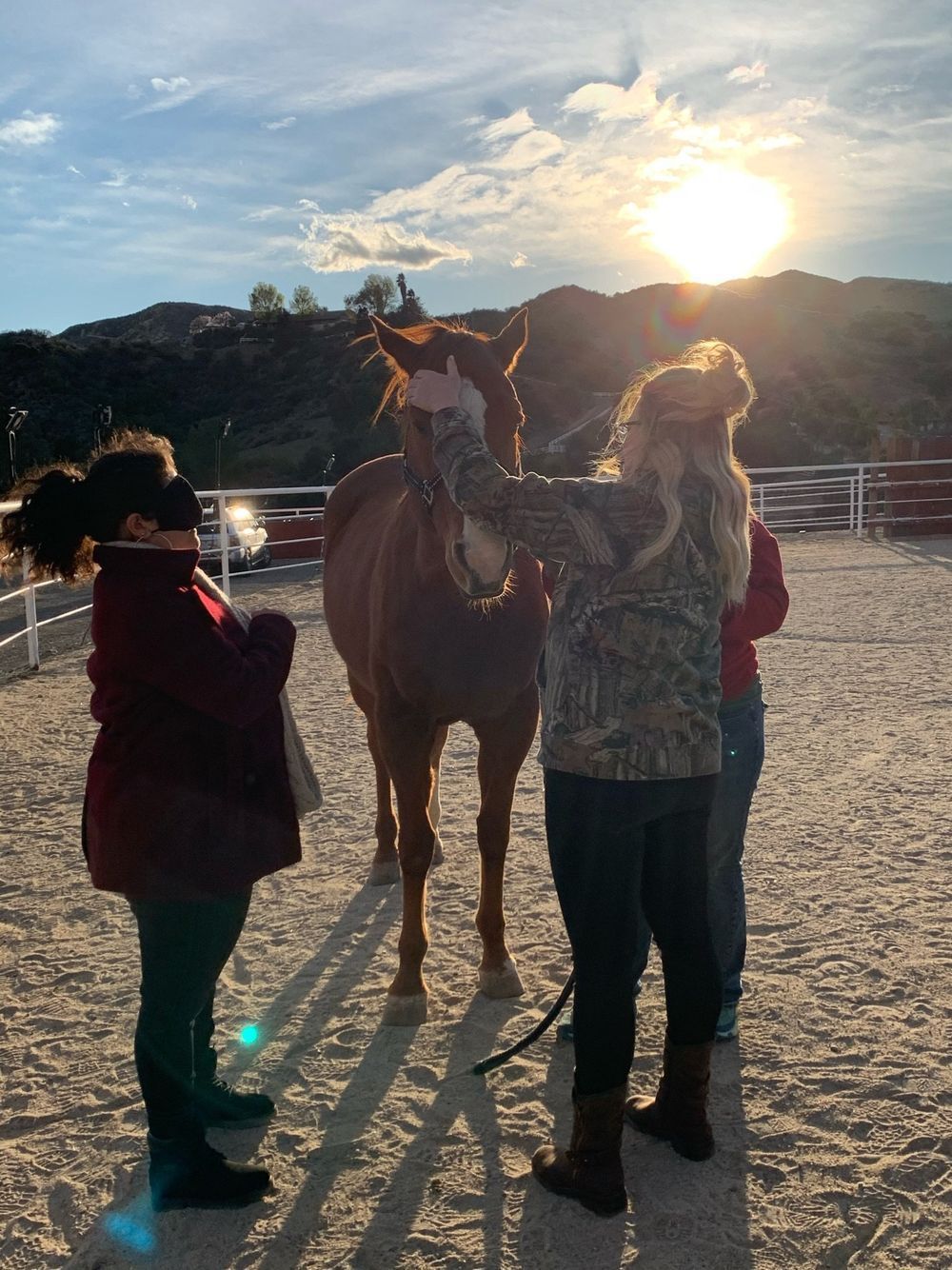 People petting a horse in an outdoor arena at sunset.