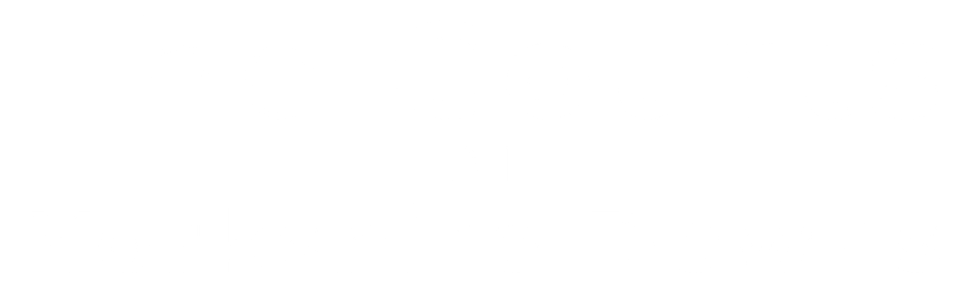 Company Logo - Footer