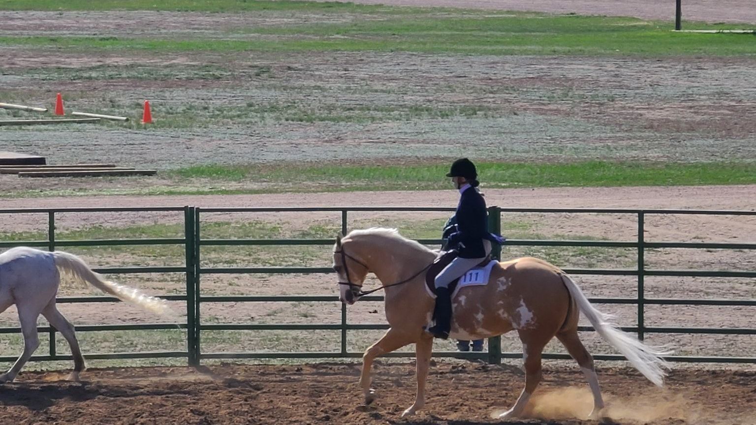 Person riding a palomino horse in an arena. Horse has long white mane and tail. Another horse in the background.