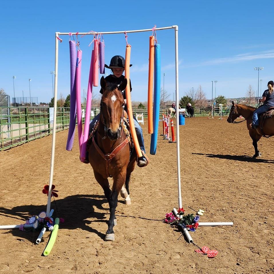 A person on horseback rides through a PVC frame decorated with pool noodles in an arena.