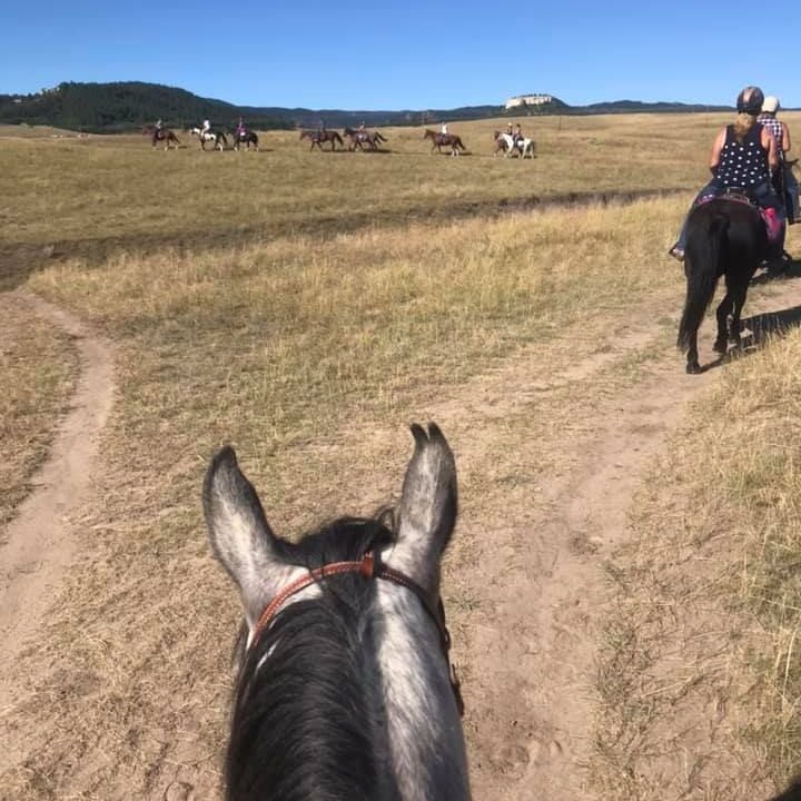 Horseback riders on a trail in a grassy field on a sunny day. Other riders in the distance.