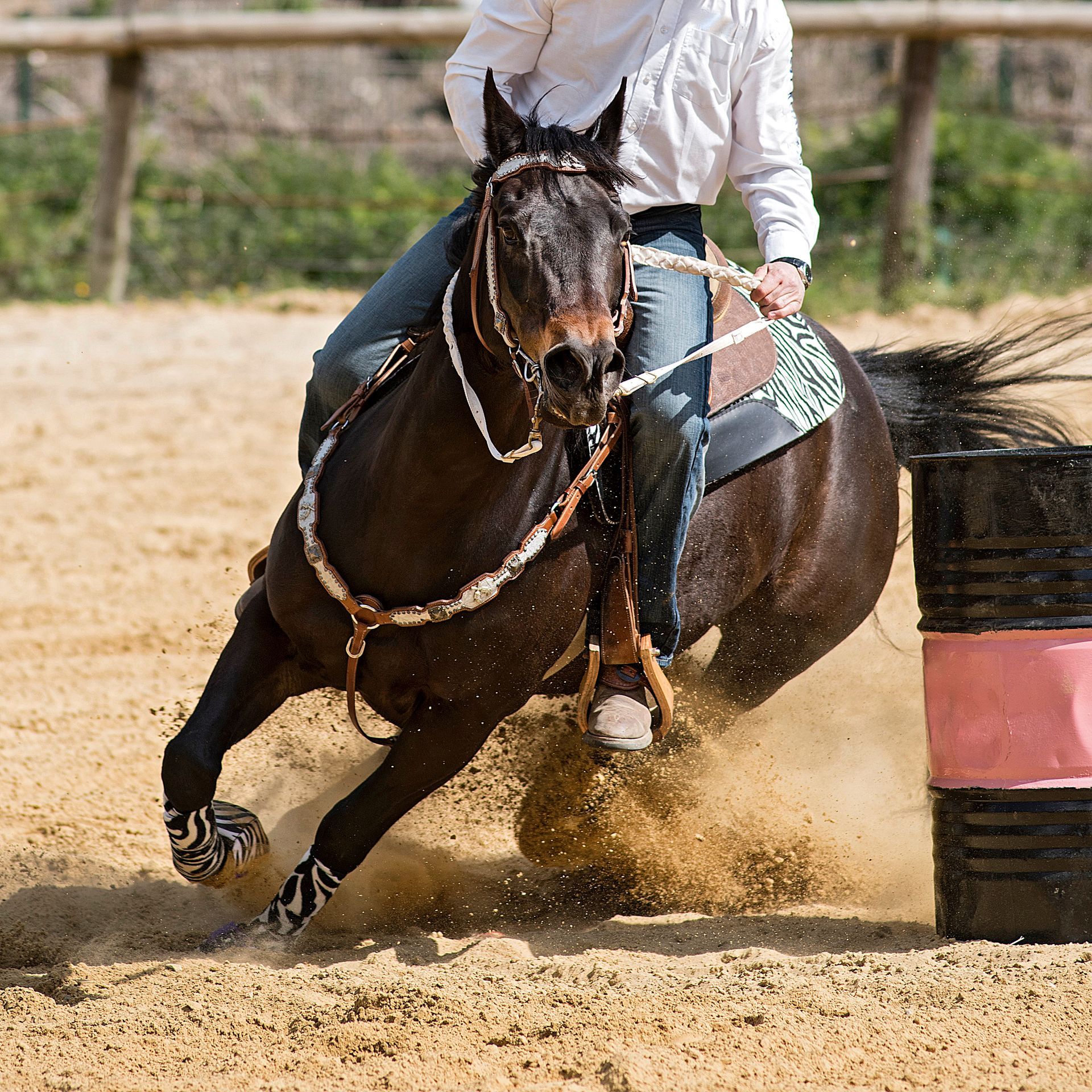 Barrel racing horse, kicking up dust, rider atop, close-up shot.