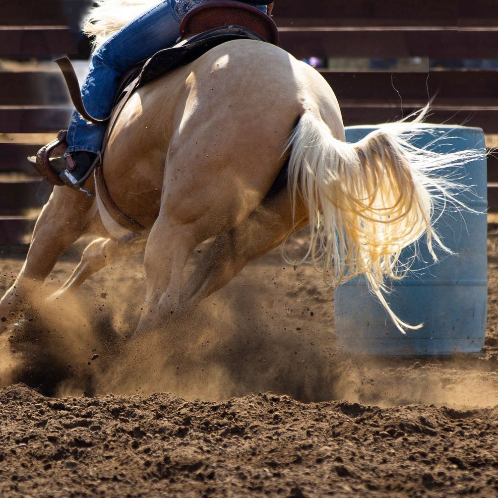 Horse rounding a barrel in a rodeo; horse is golden, rider is in jeans, dirt flies.
