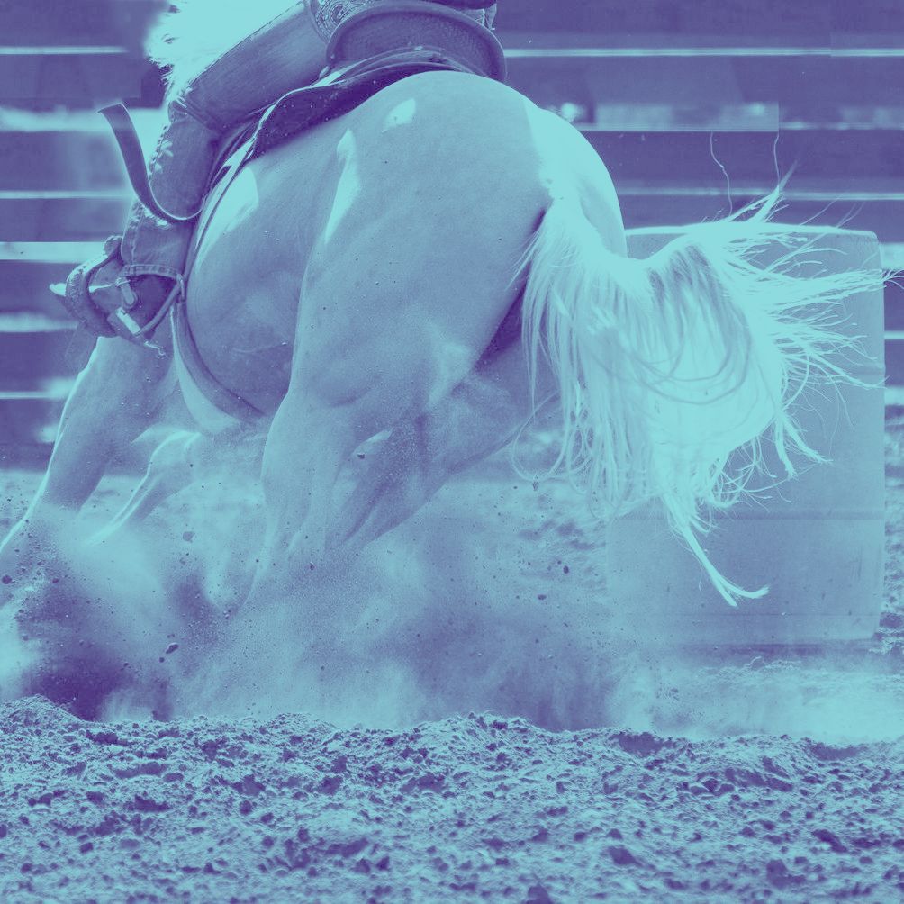 Barrel racing horse, kicking up dust, rider atop, close-up shot.