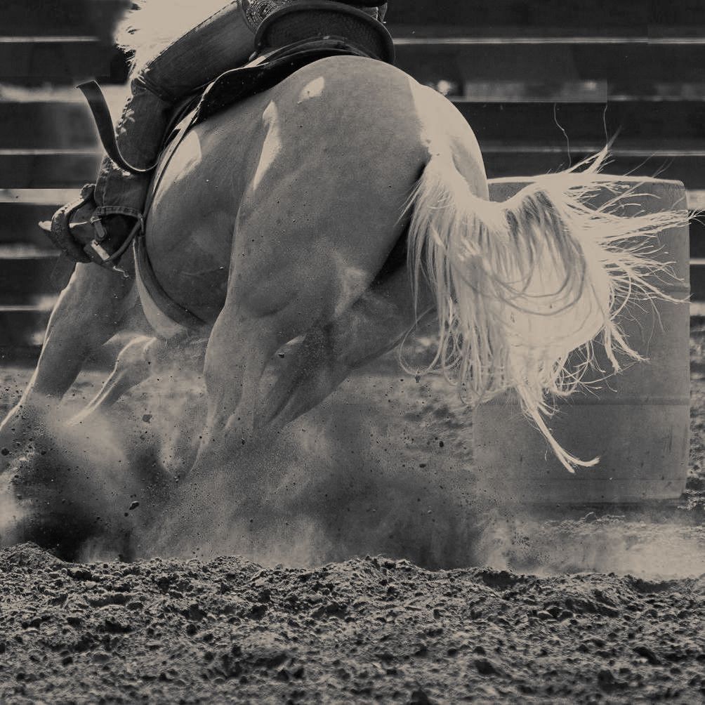 Barrel racing horse rounding a barrel, kicking up dirt. Equestrian in saddle, tail flowing.