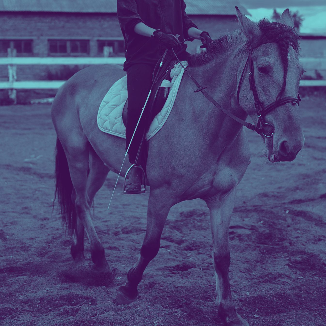 Person riding a horse in an outdoor arena. The horse is tan with a black bridle and saddle.