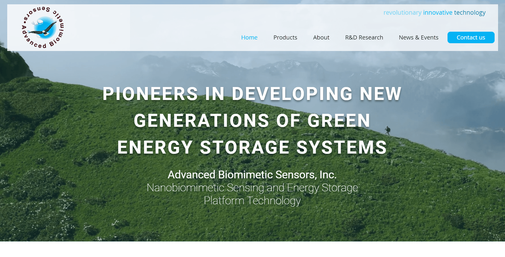 wix web design