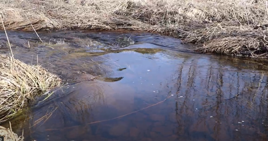 Sucker River Aquatic Management Area