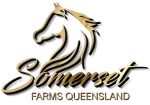 Cobbitty Equine Farm